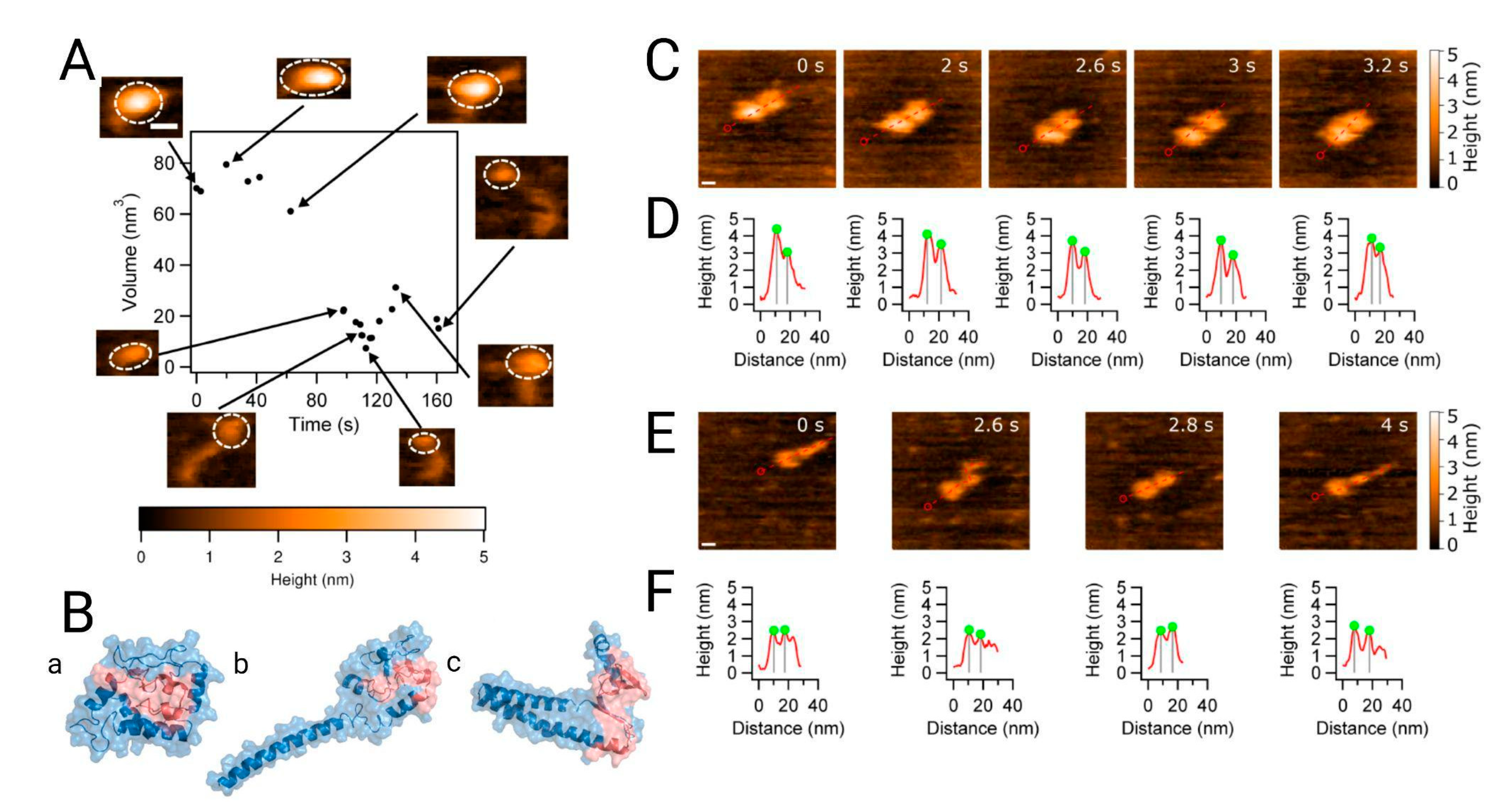 Molecules 27 00088 g003