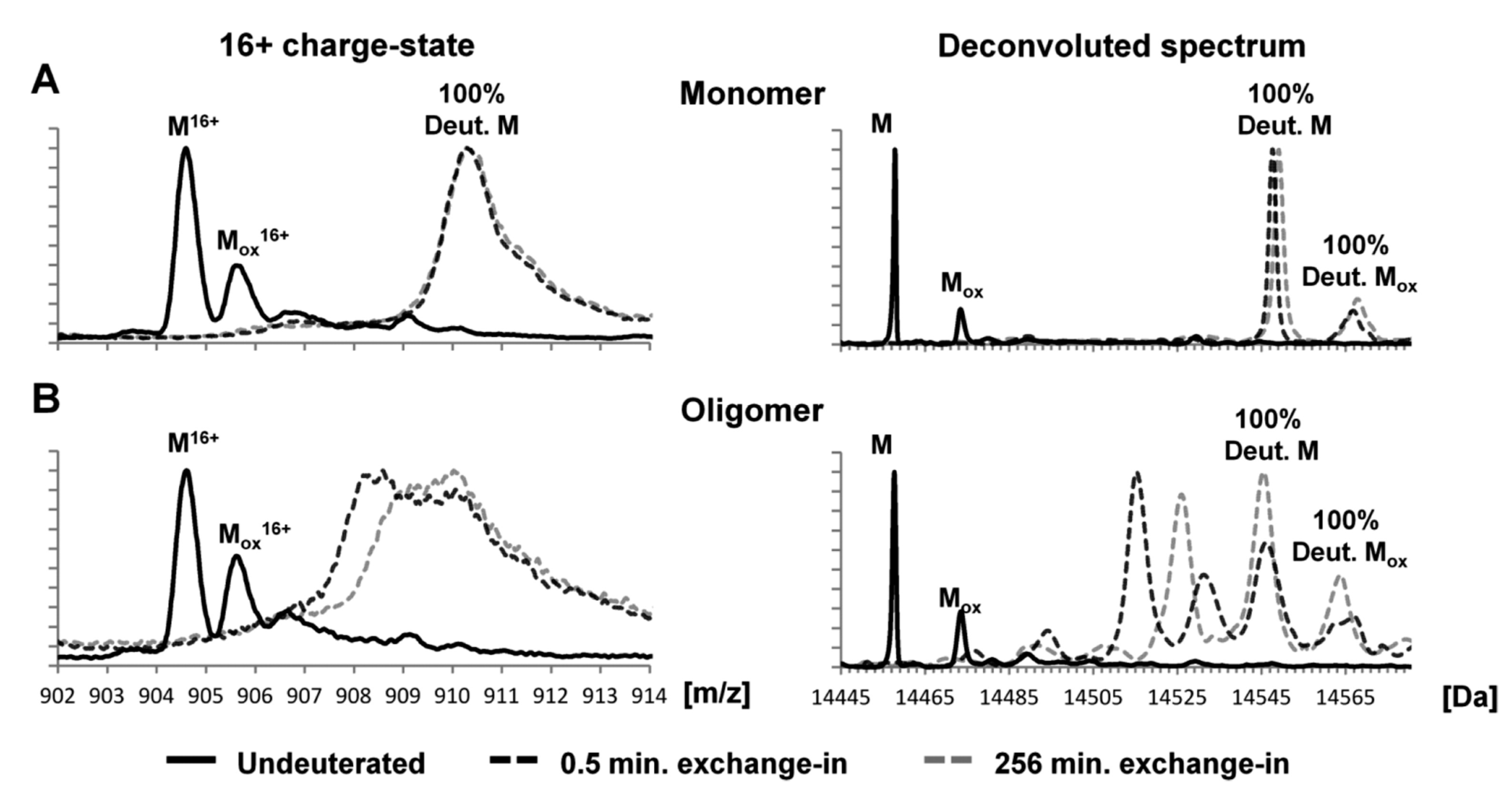 Molecules 27 00088 g004