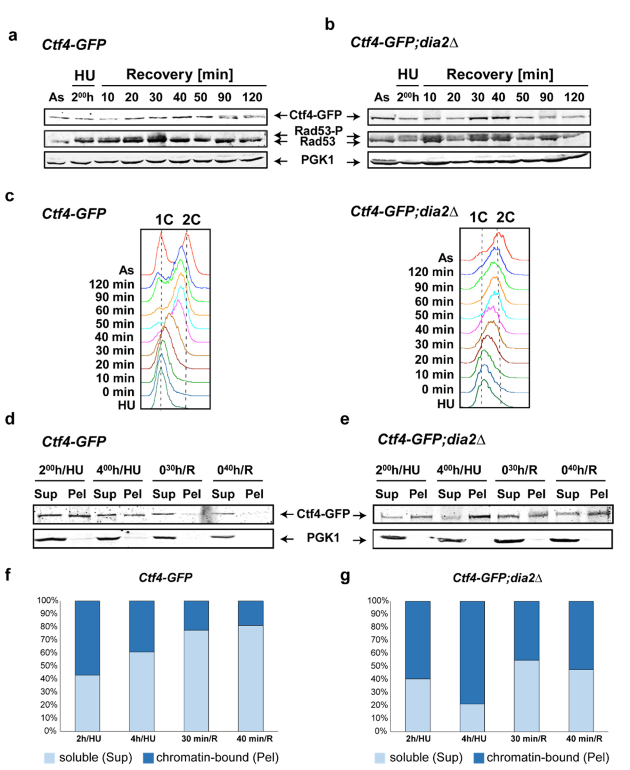 Molecules 27 00097 g003