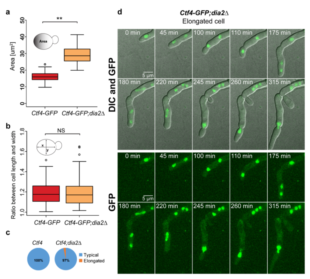 Molecules 27 00097 g004
