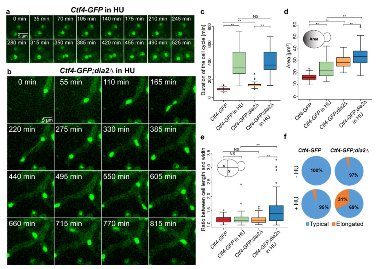 Molecules 27 00097 g005