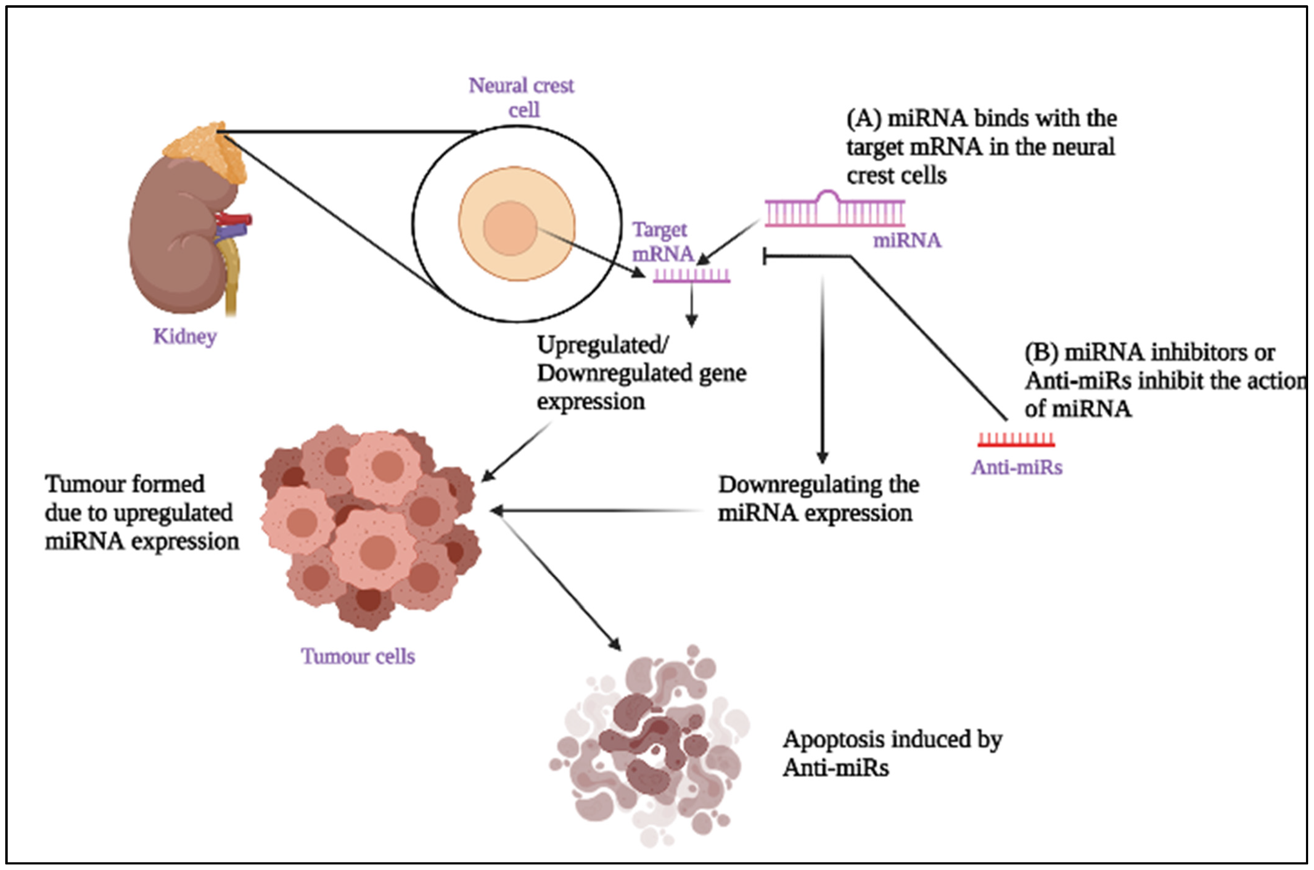 Molecules 27 00099 g001