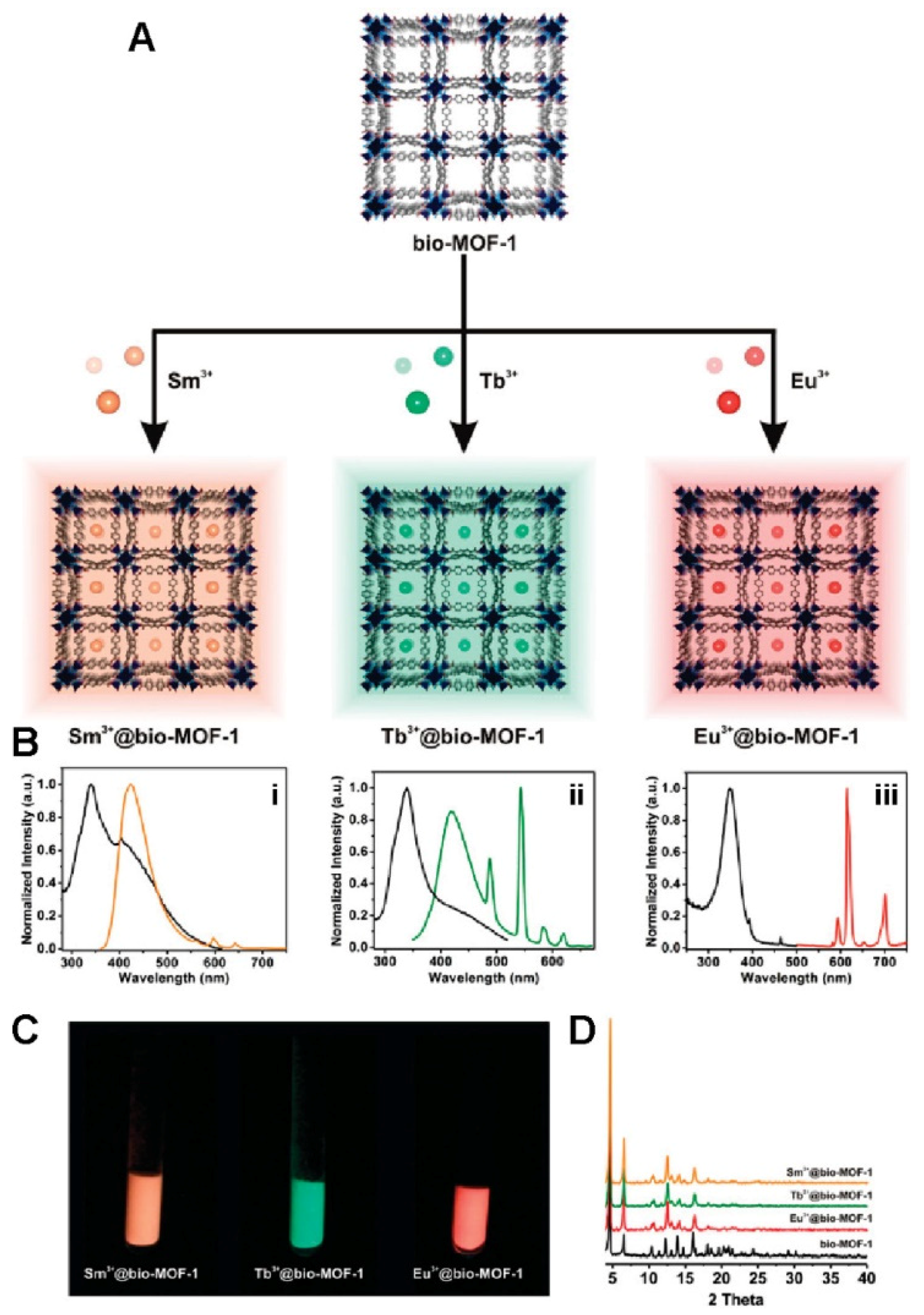 Molecules 27 00100 g005