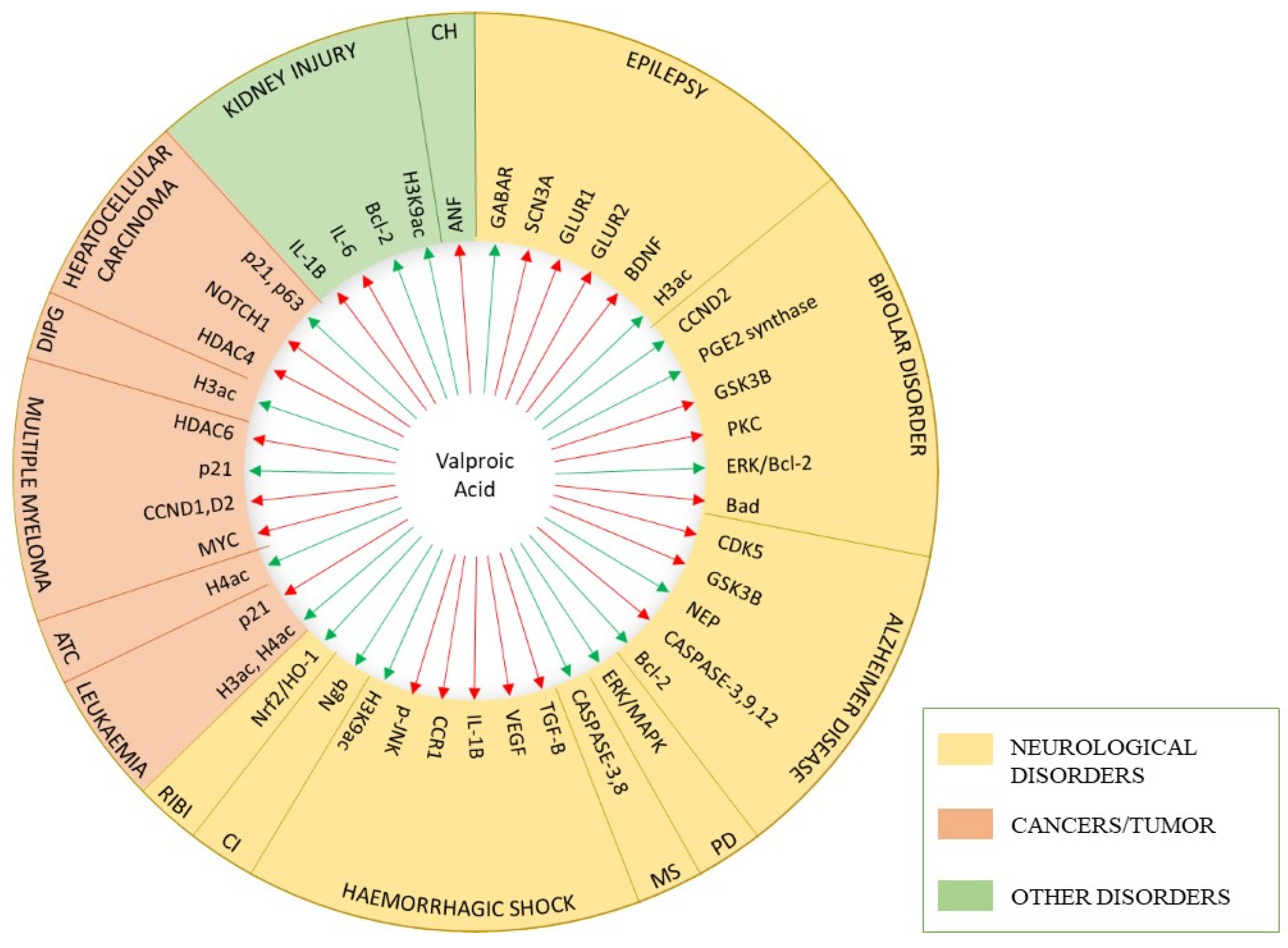 Molecules 27 00104 g001