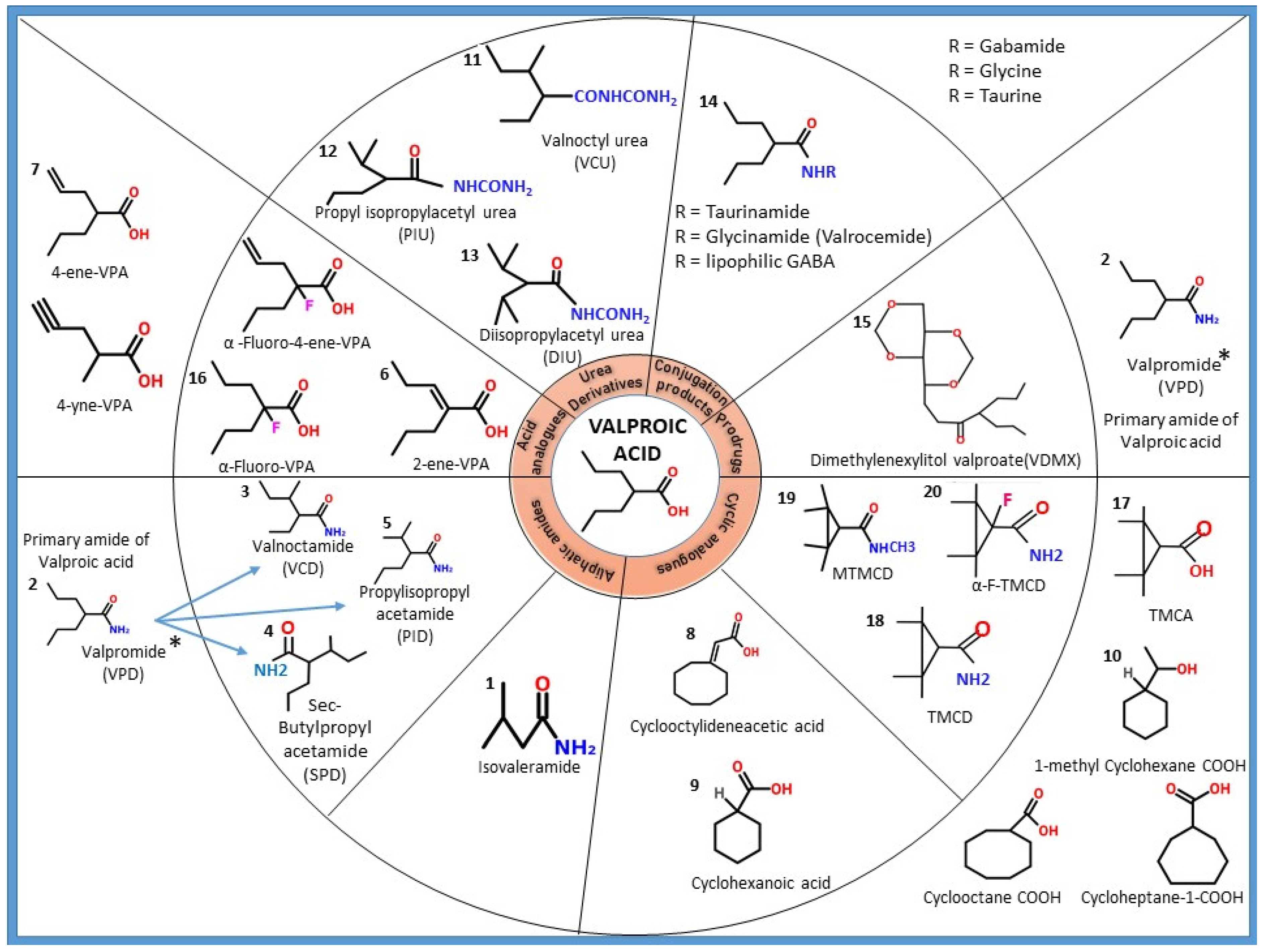 Molecules 27 00104 g002