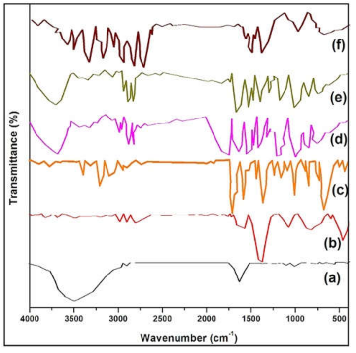Molecules 27 00110 g003