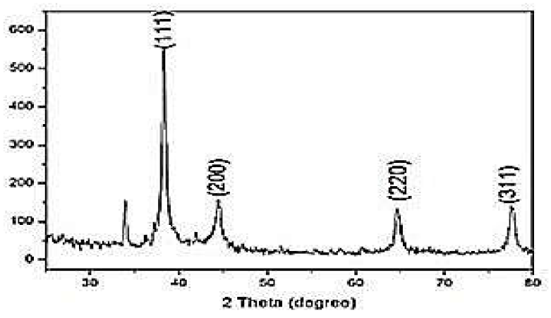 Molecules 27 00110 g004