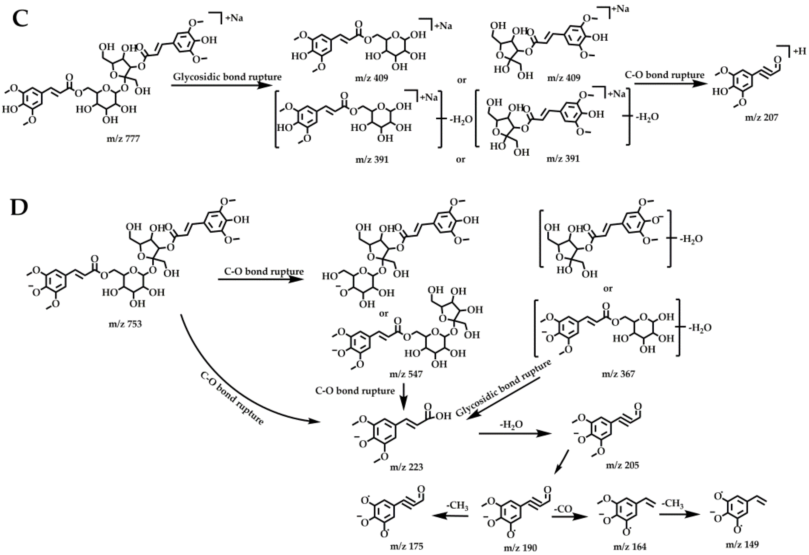 Molecules 27 00114 g005b