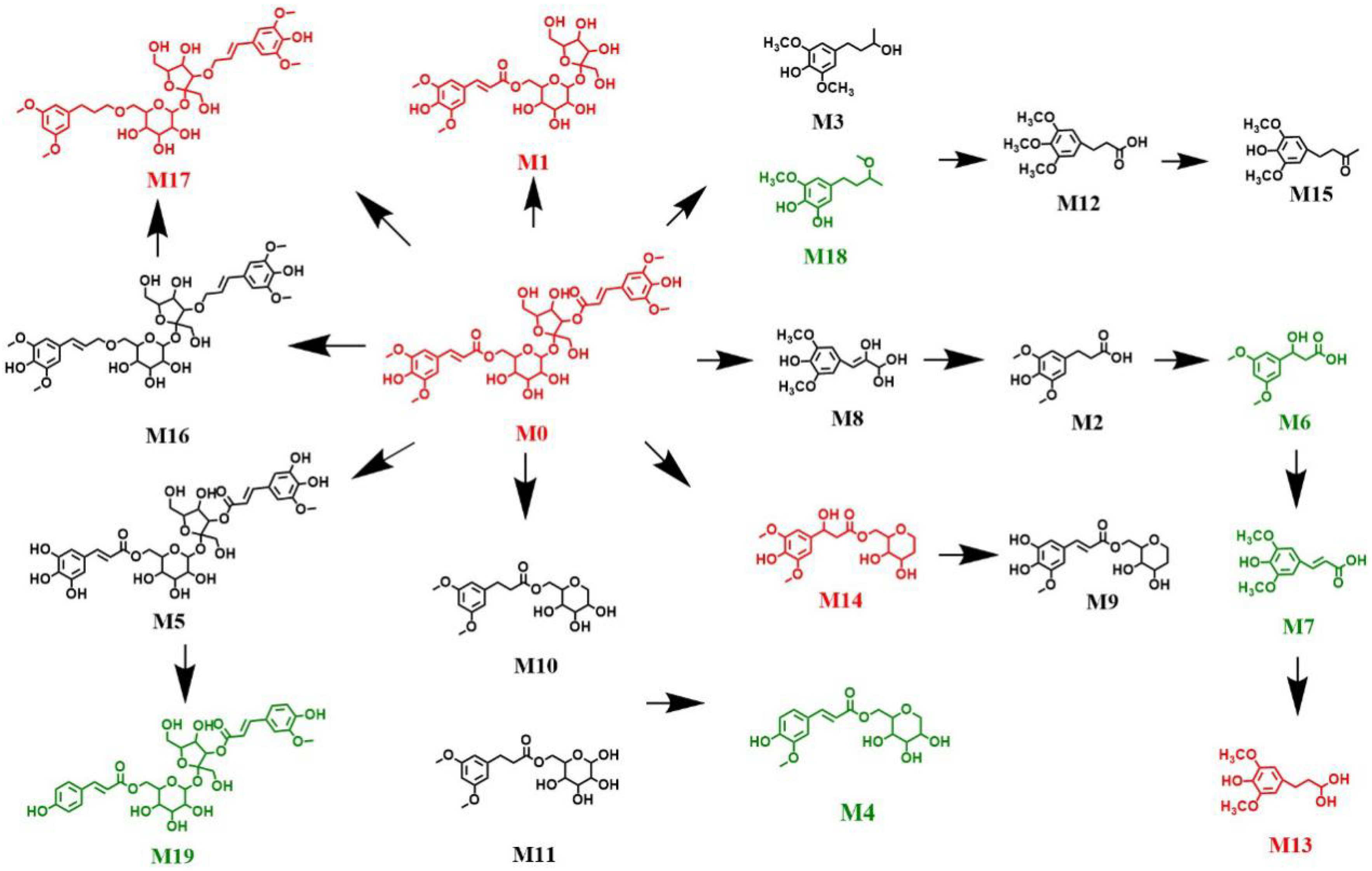 Molecules 27 00114 g007
