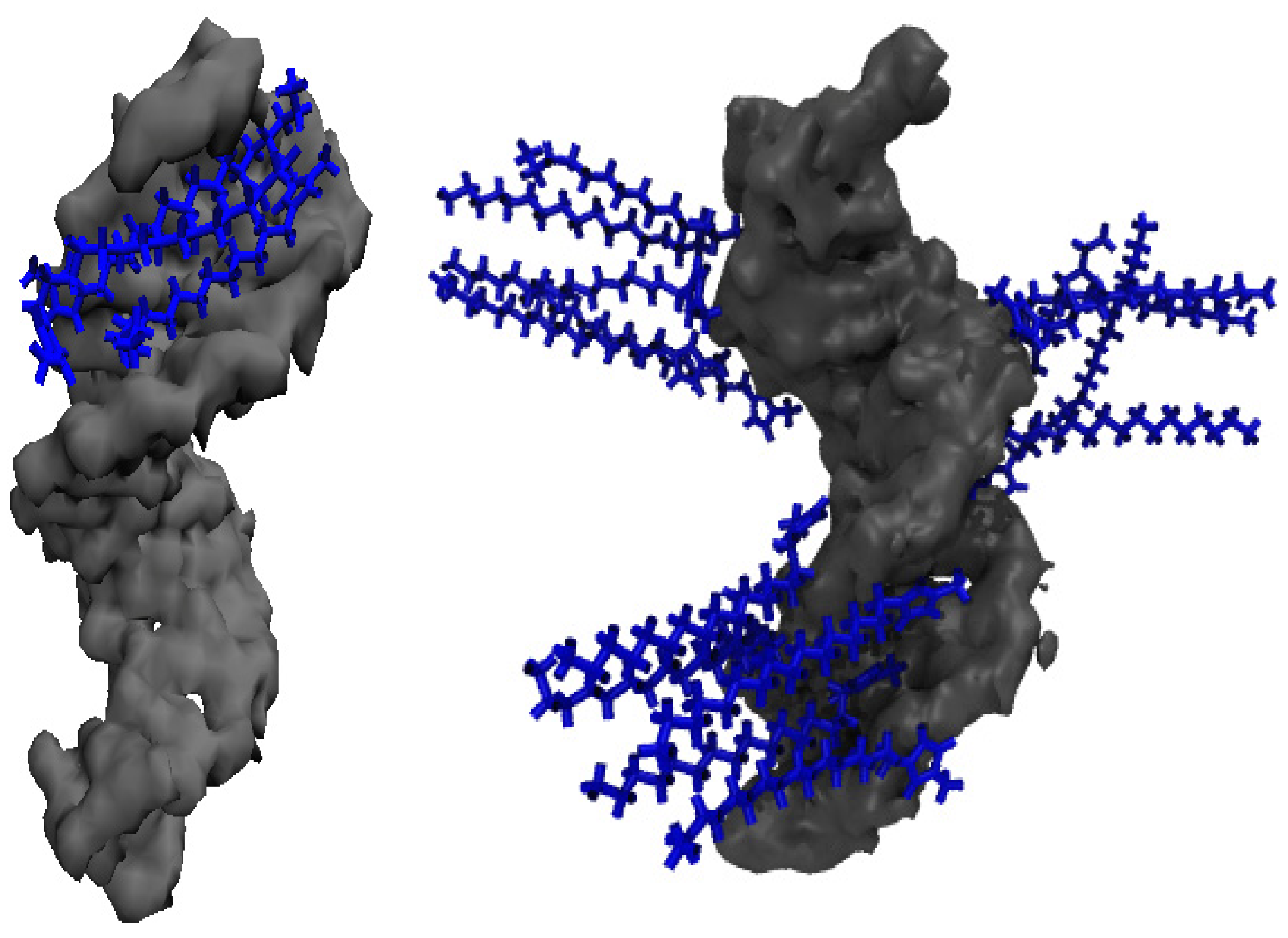 Molecules 27 00116 g008 Molecules 27 00116 g008
