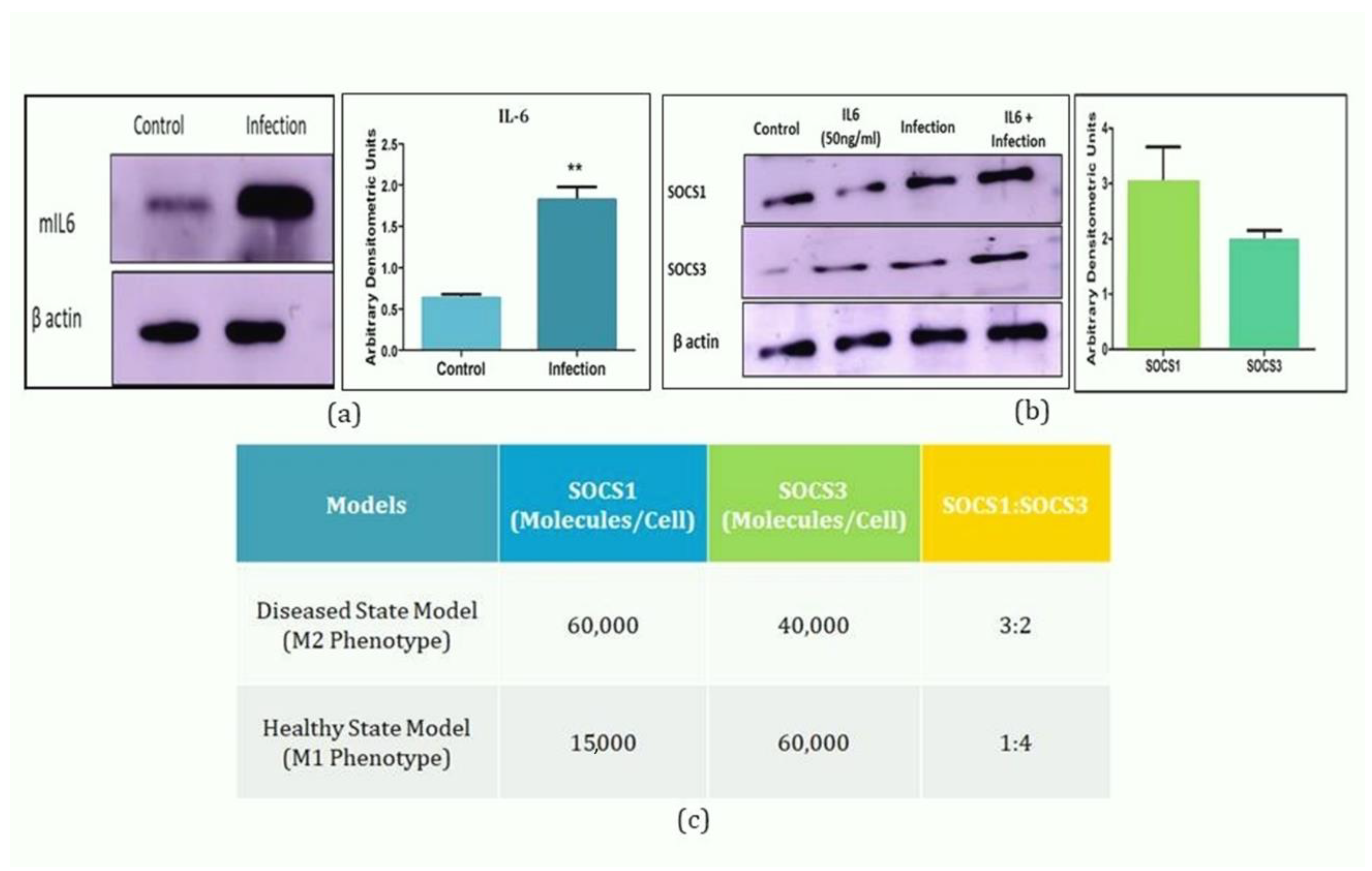 Molecules 27 00124 g002