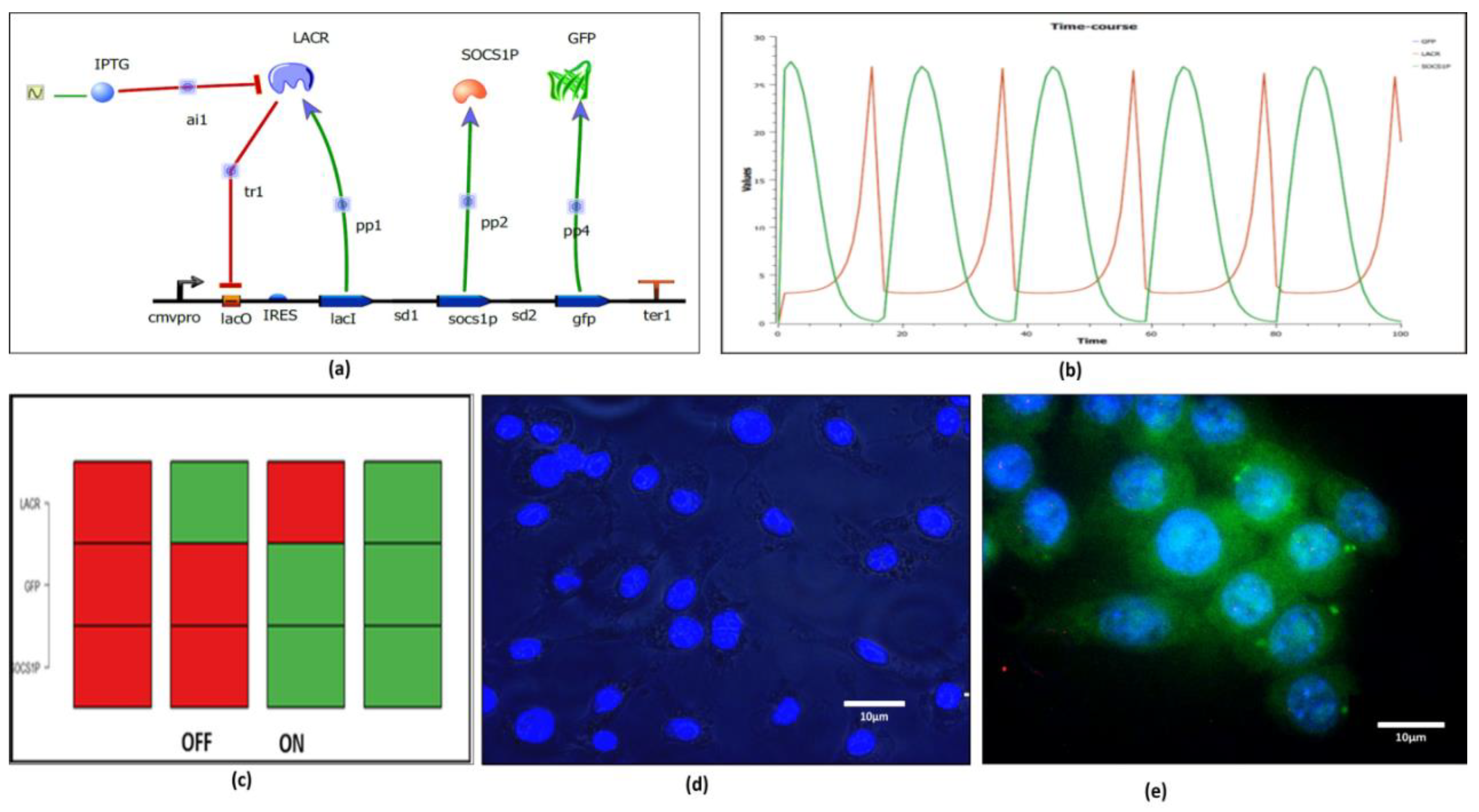 Molecules 27 00124 g007