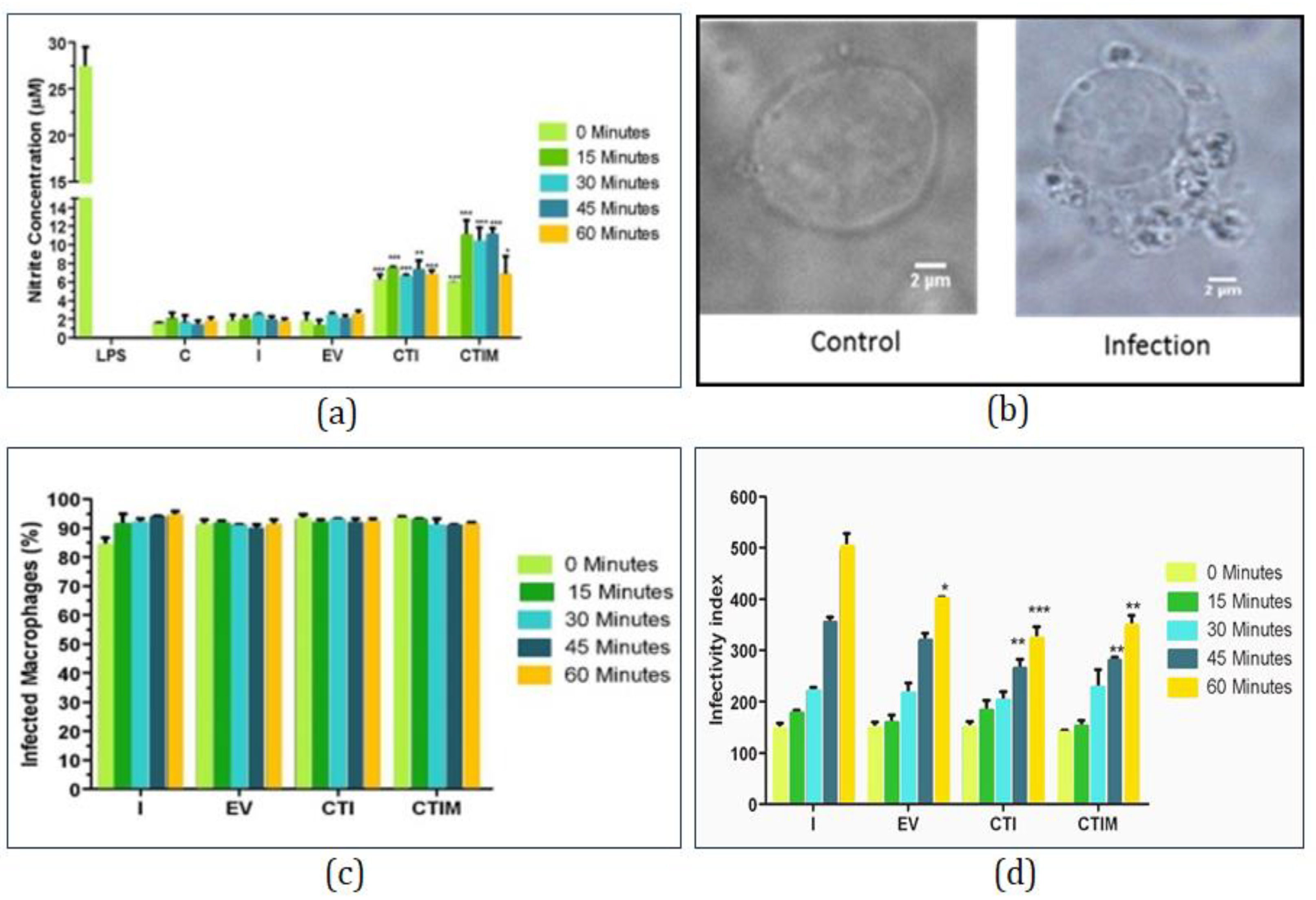Molecules 27 00124 g009
