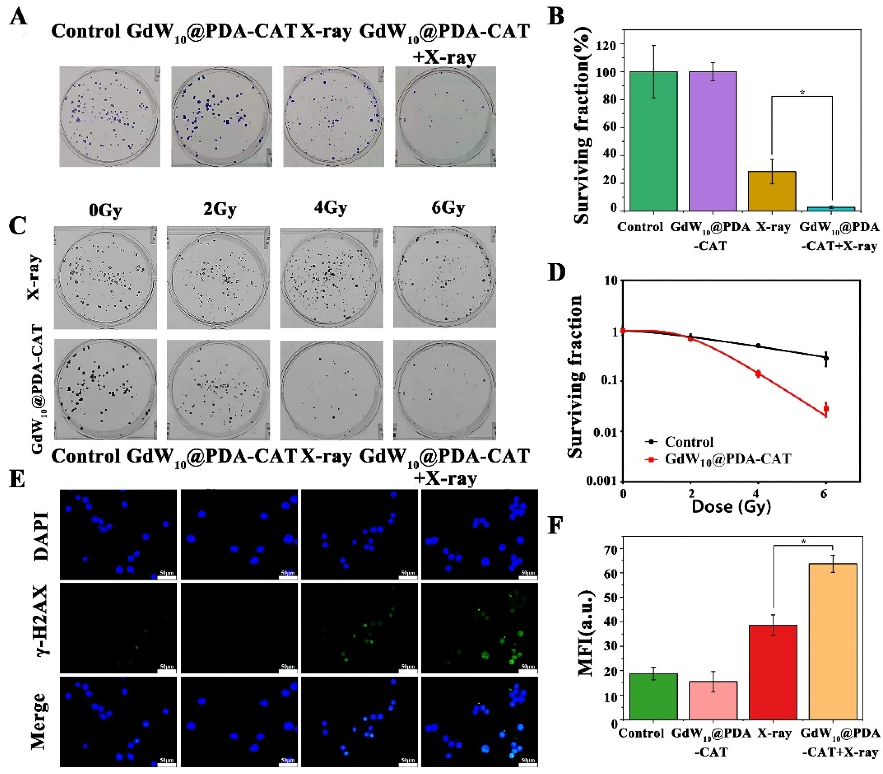 Molecules 27 00128 g005