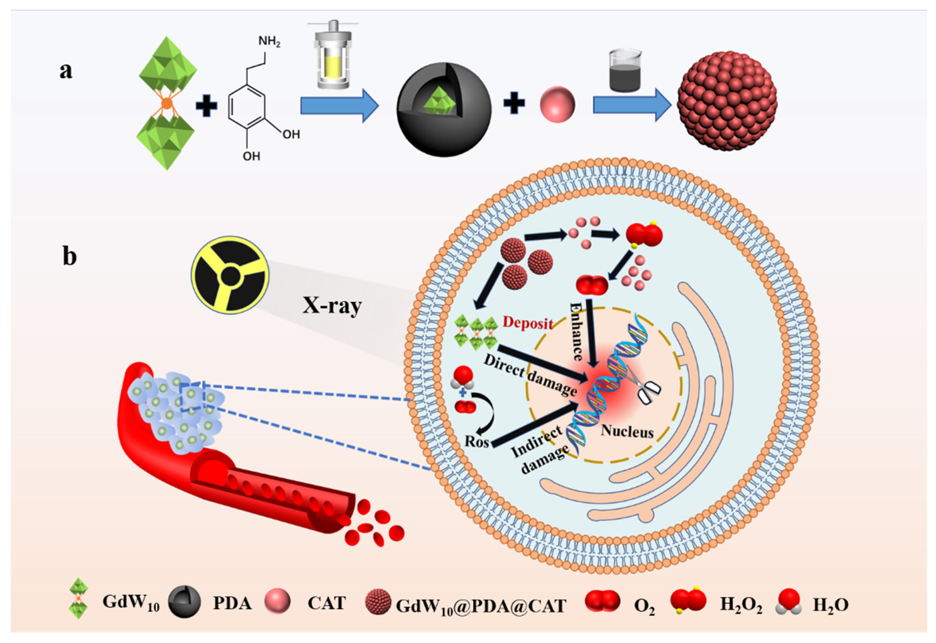 Molecules 27 00128 sch001