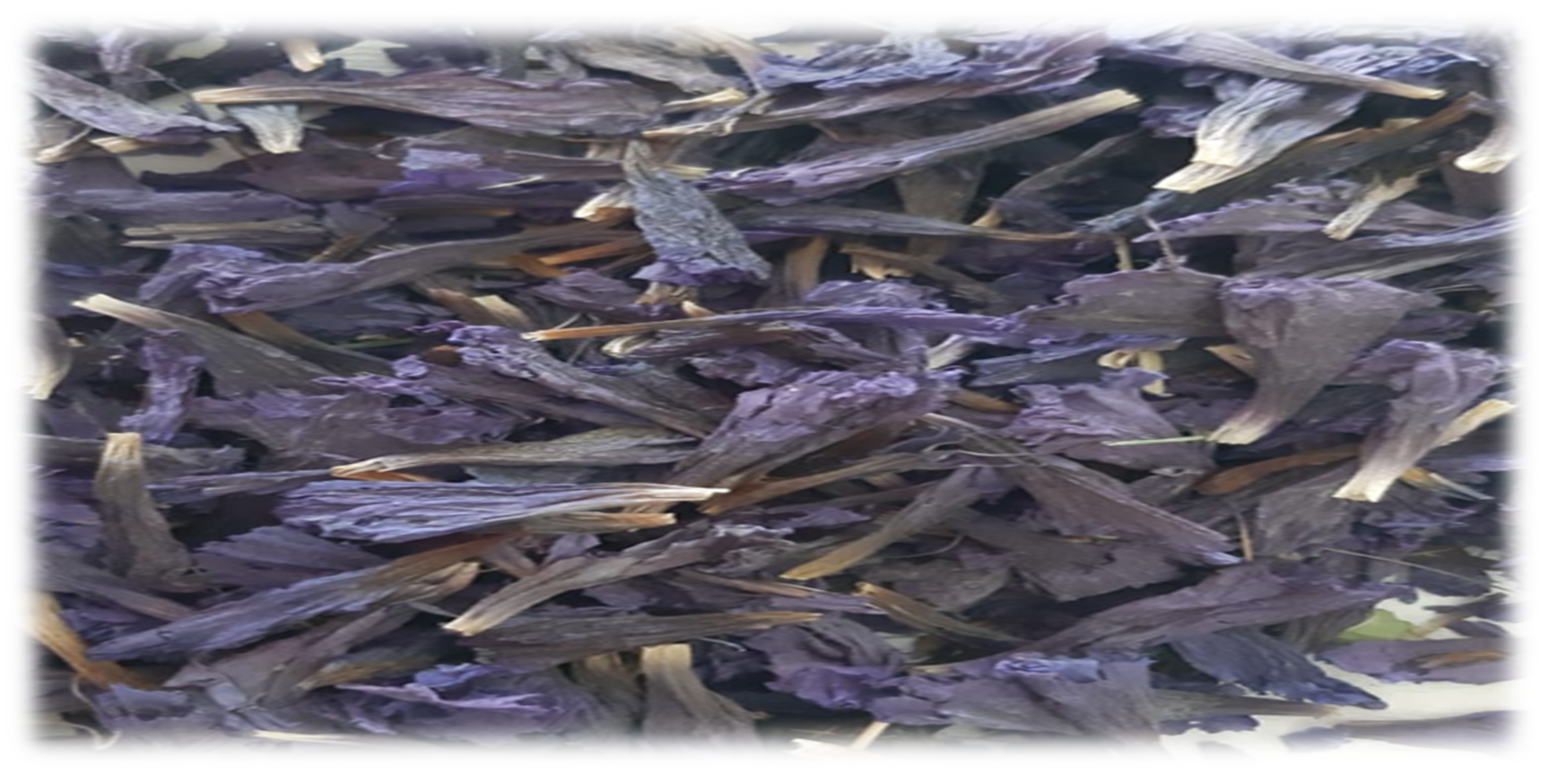 Molecules 27 00134 g007