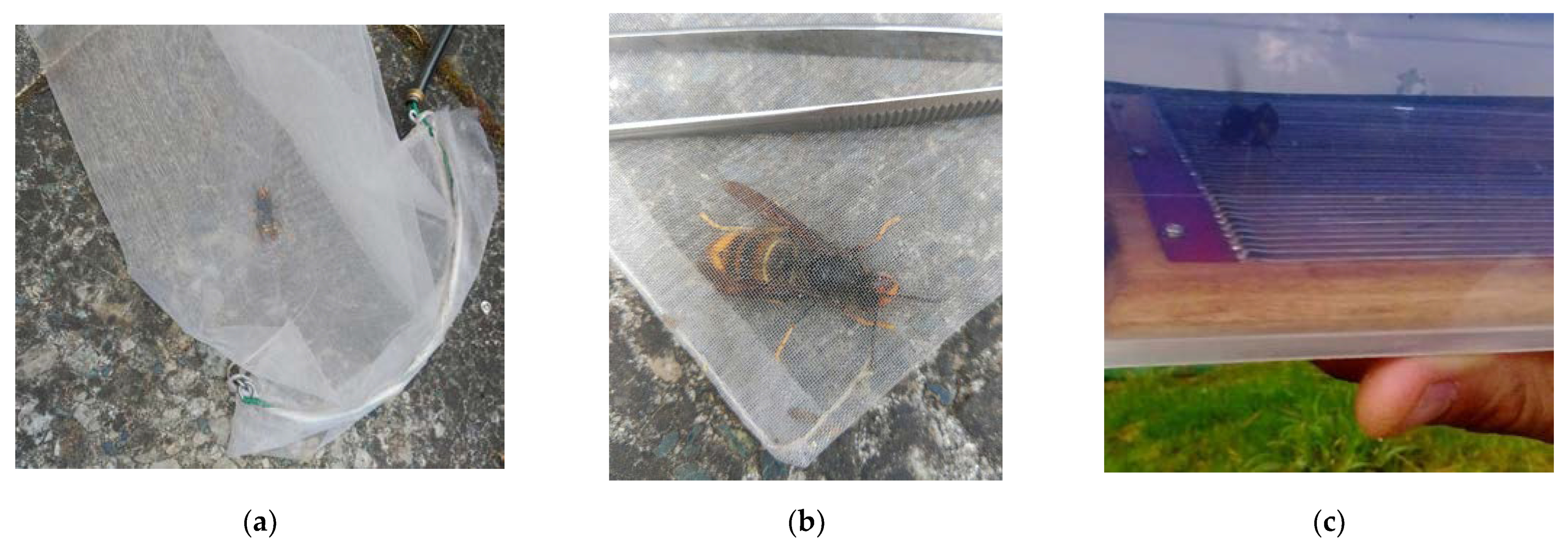 Molecules 27 00138 g002