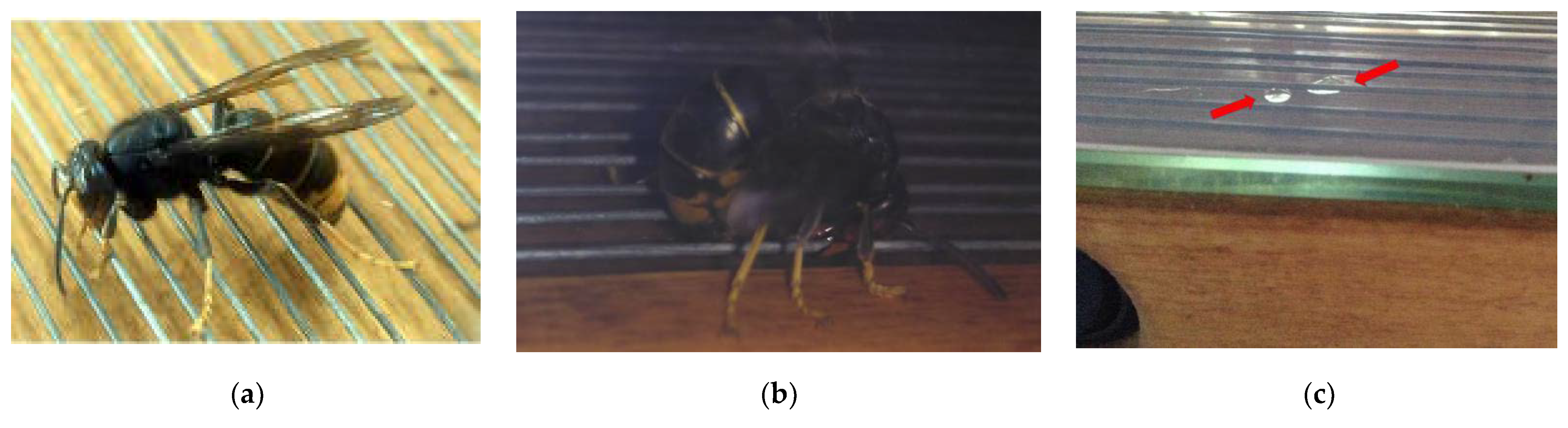 Molecules 27 00138 g003