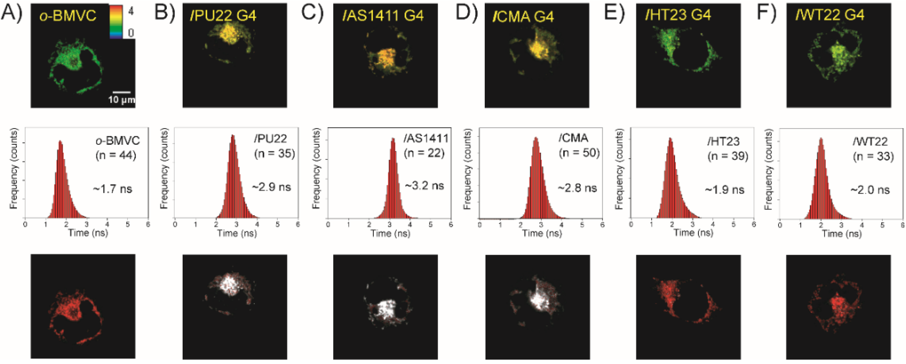 Molecules 27 00140 g001