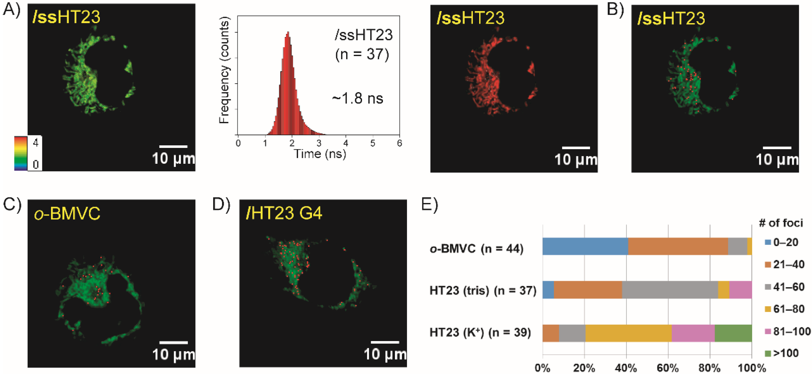 Molecules 27 00140 g002