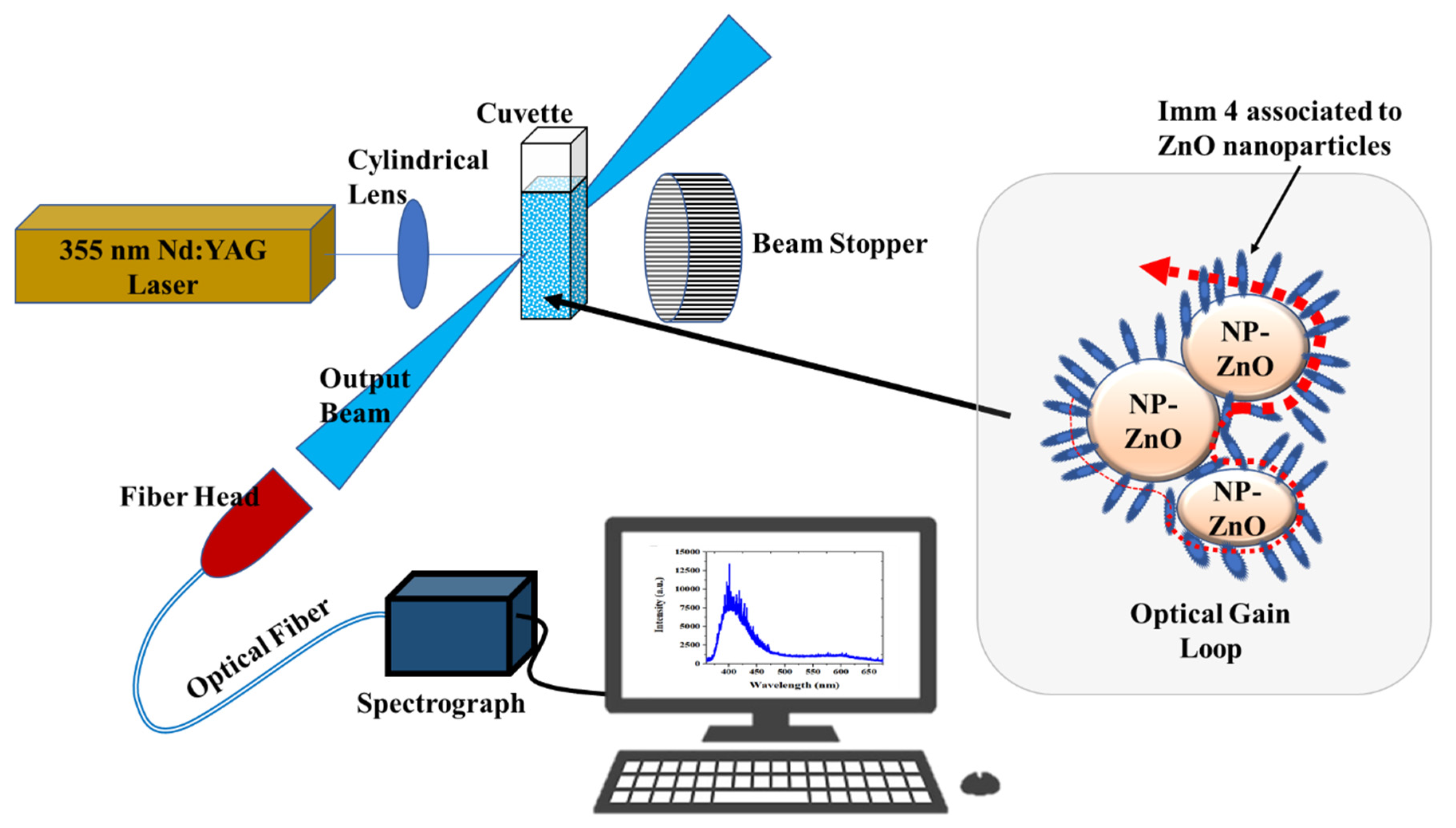 Molecules 27 00145 g008
