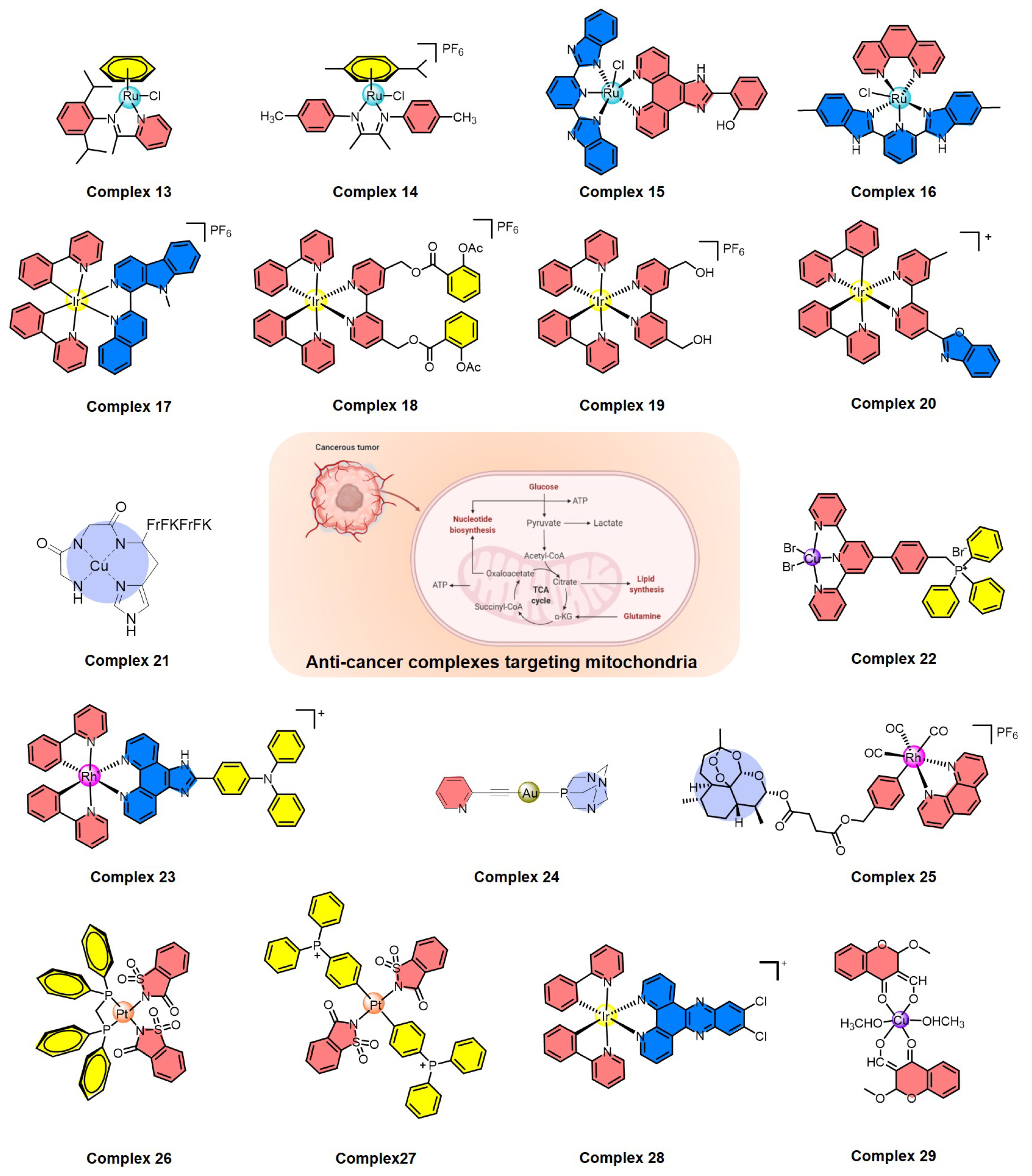 Molecules 27 00148 g004