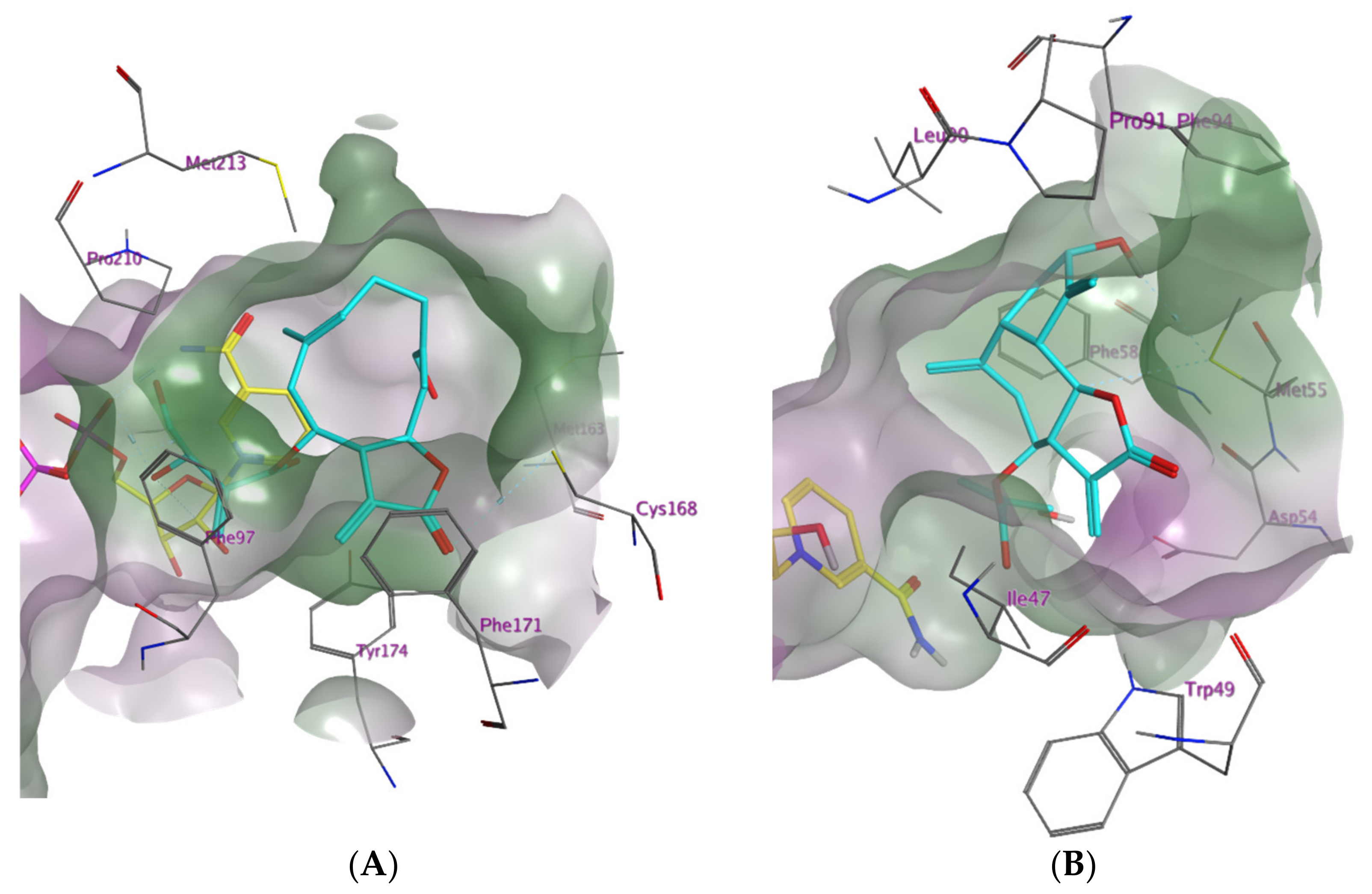 Molecules 27 00149 g001 Molecules 27 00149 g001