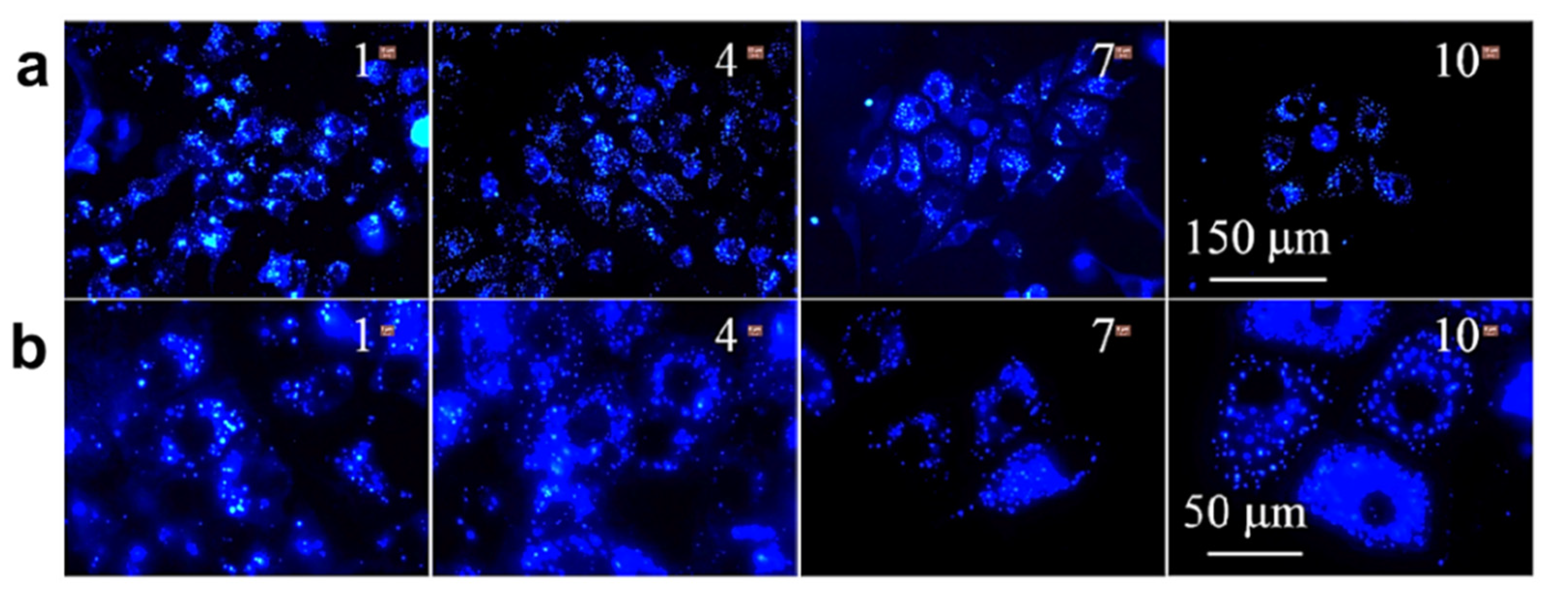 Molecules 27 00150 g012
