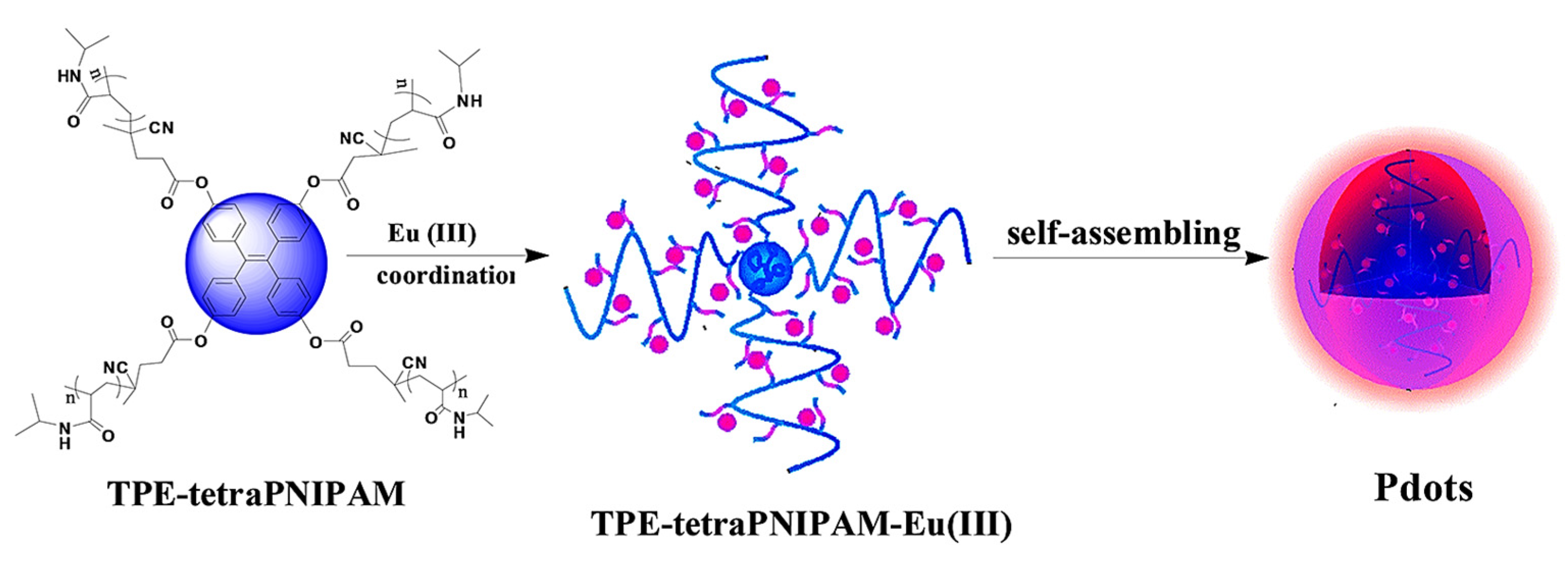 Molecules 27 00150 g015