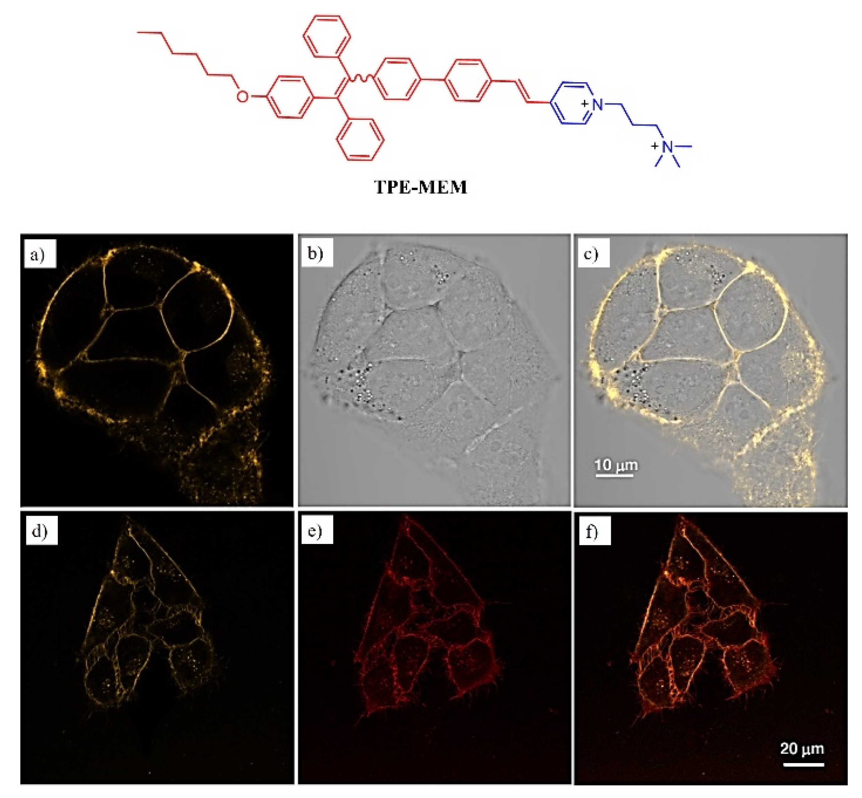 Molecules 27 00150 g017
