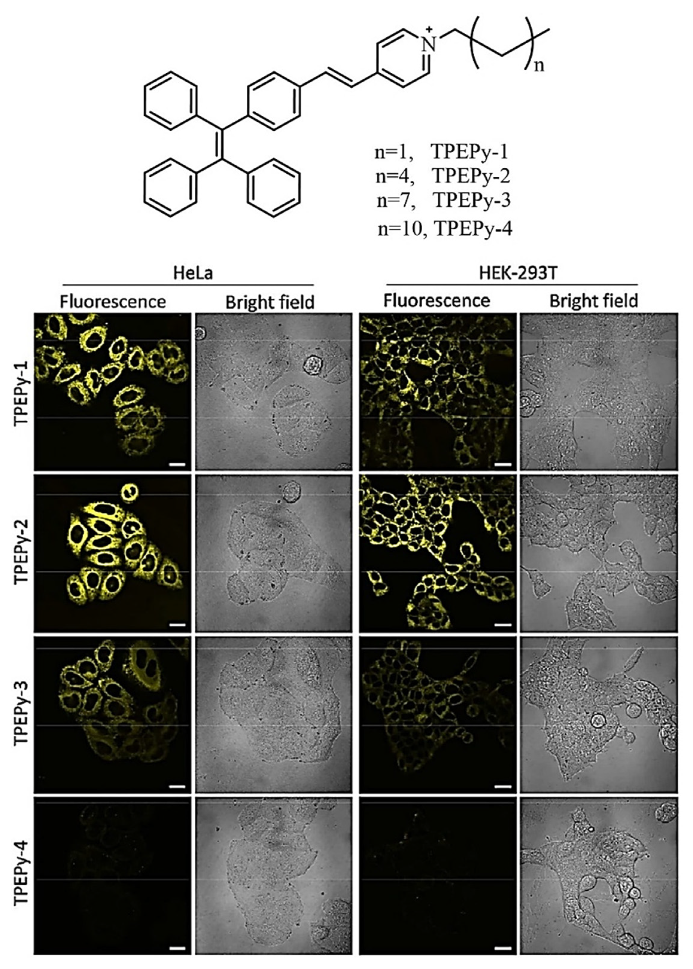 Molecules 27 00150 g018