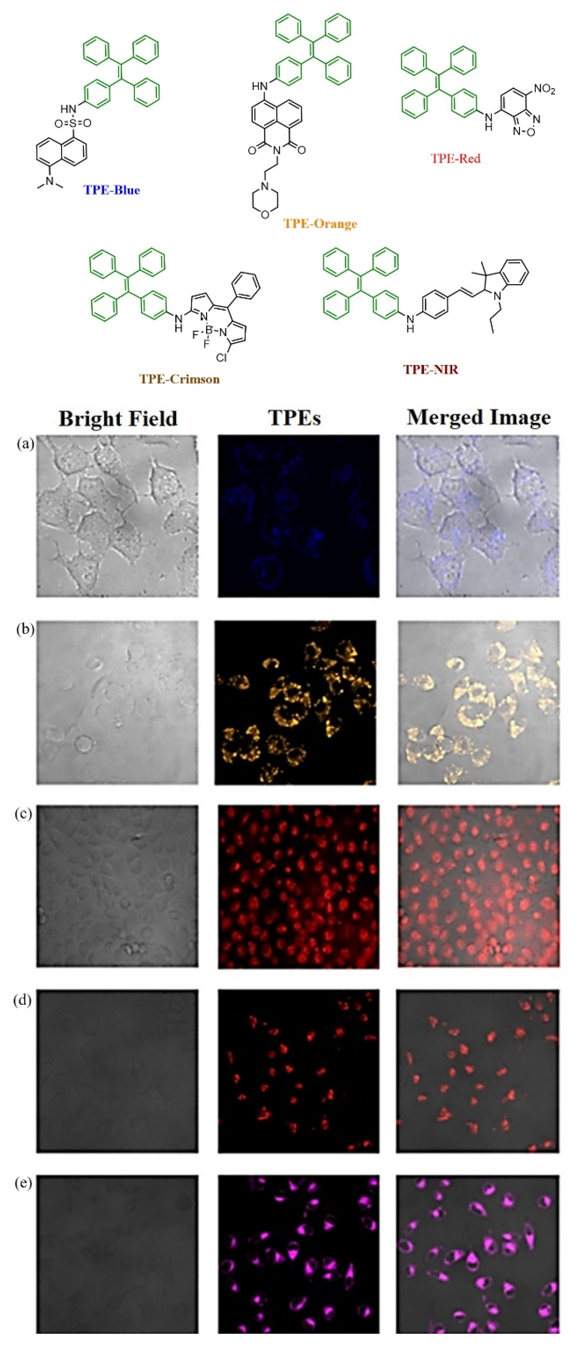 Molecules 27 00150 g019