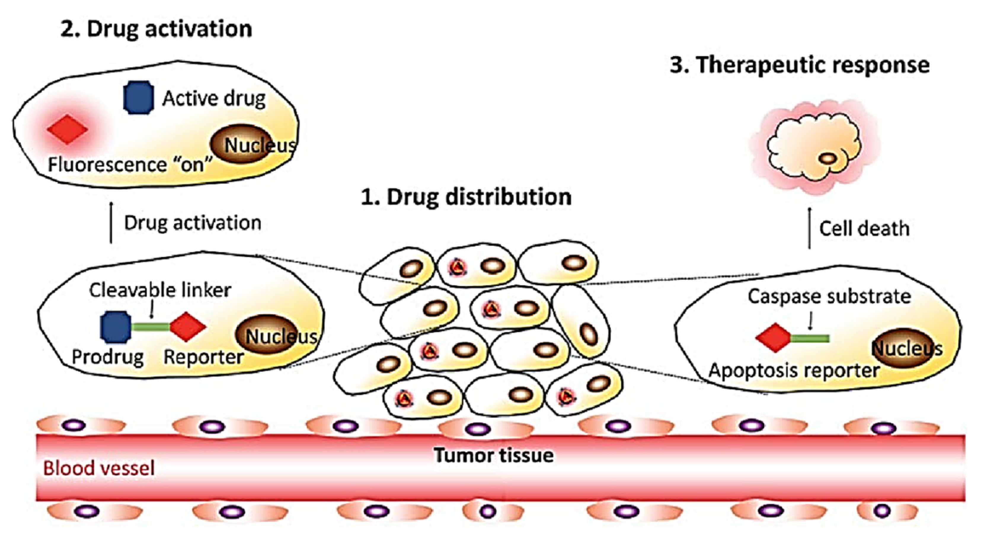 Molecules 27 00150 g023