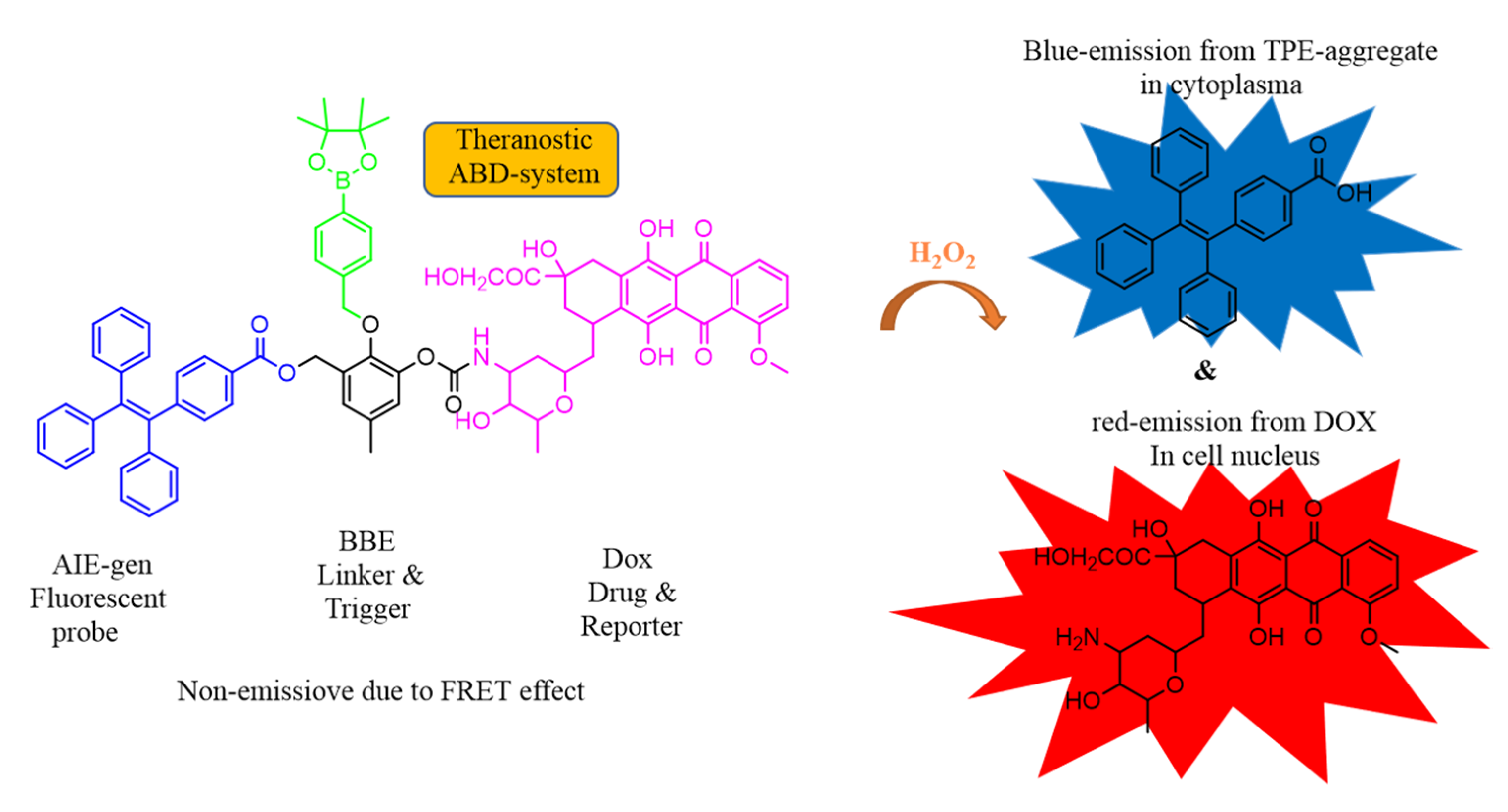 Molecules 27 00150 g027