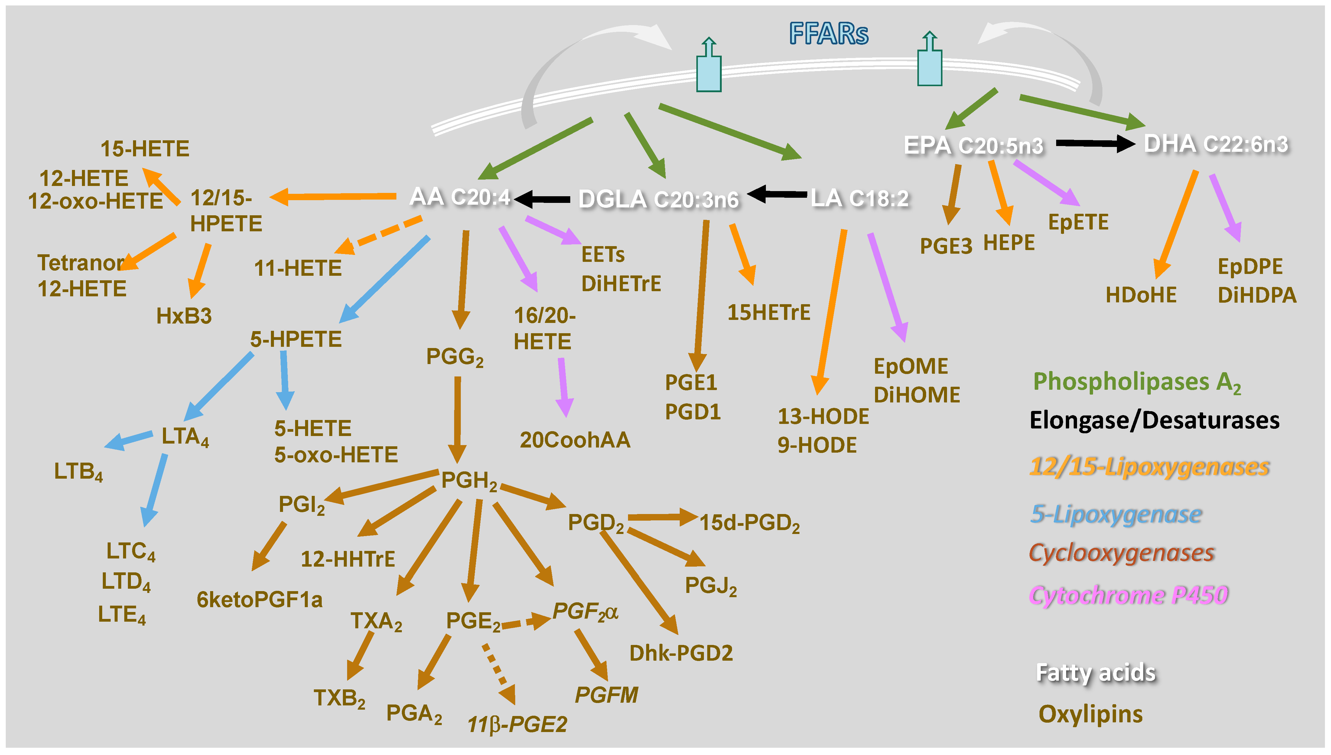 Molecules 27 00152 g001