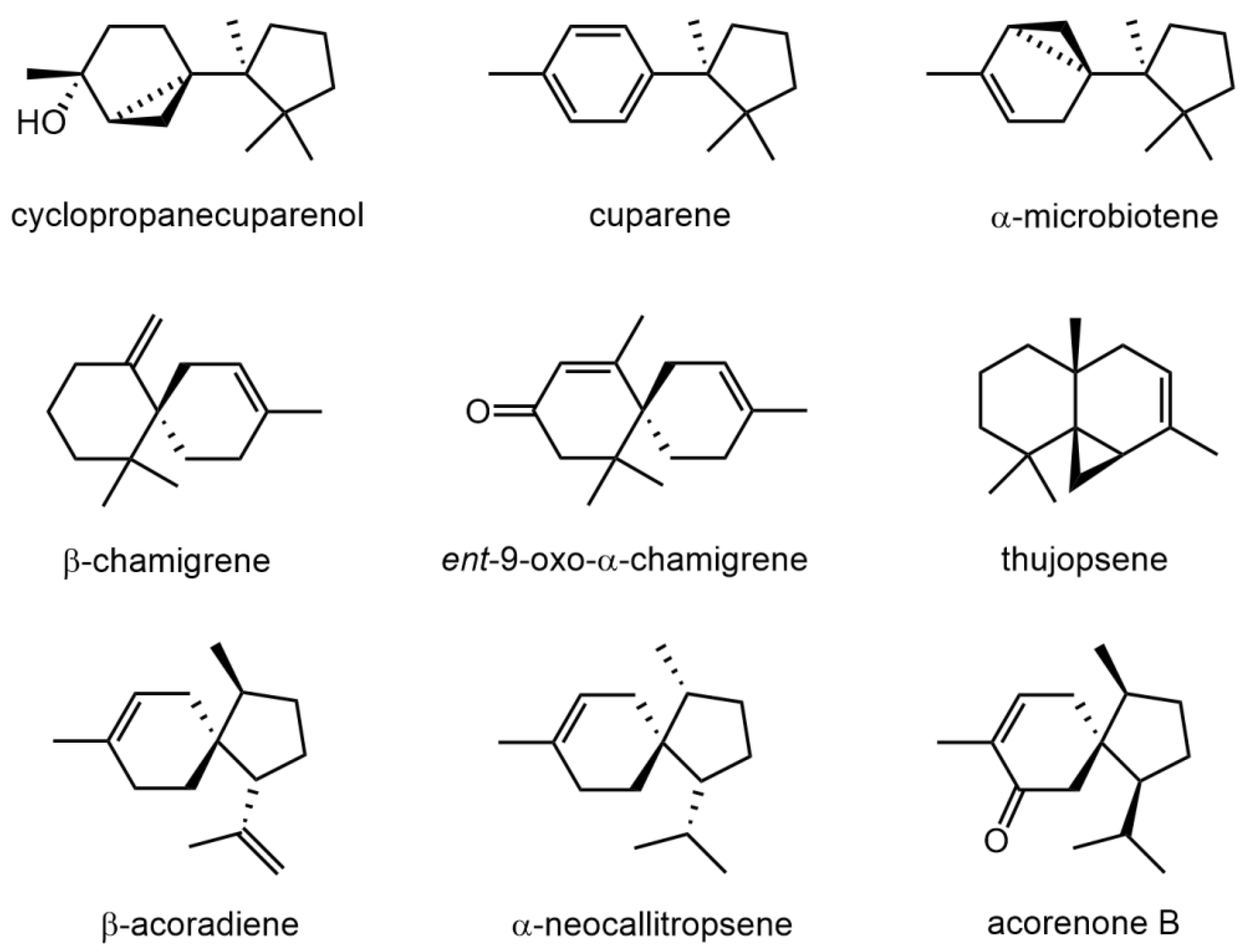 Molecules 27 00153 g001 Molecules 27 00153 g001