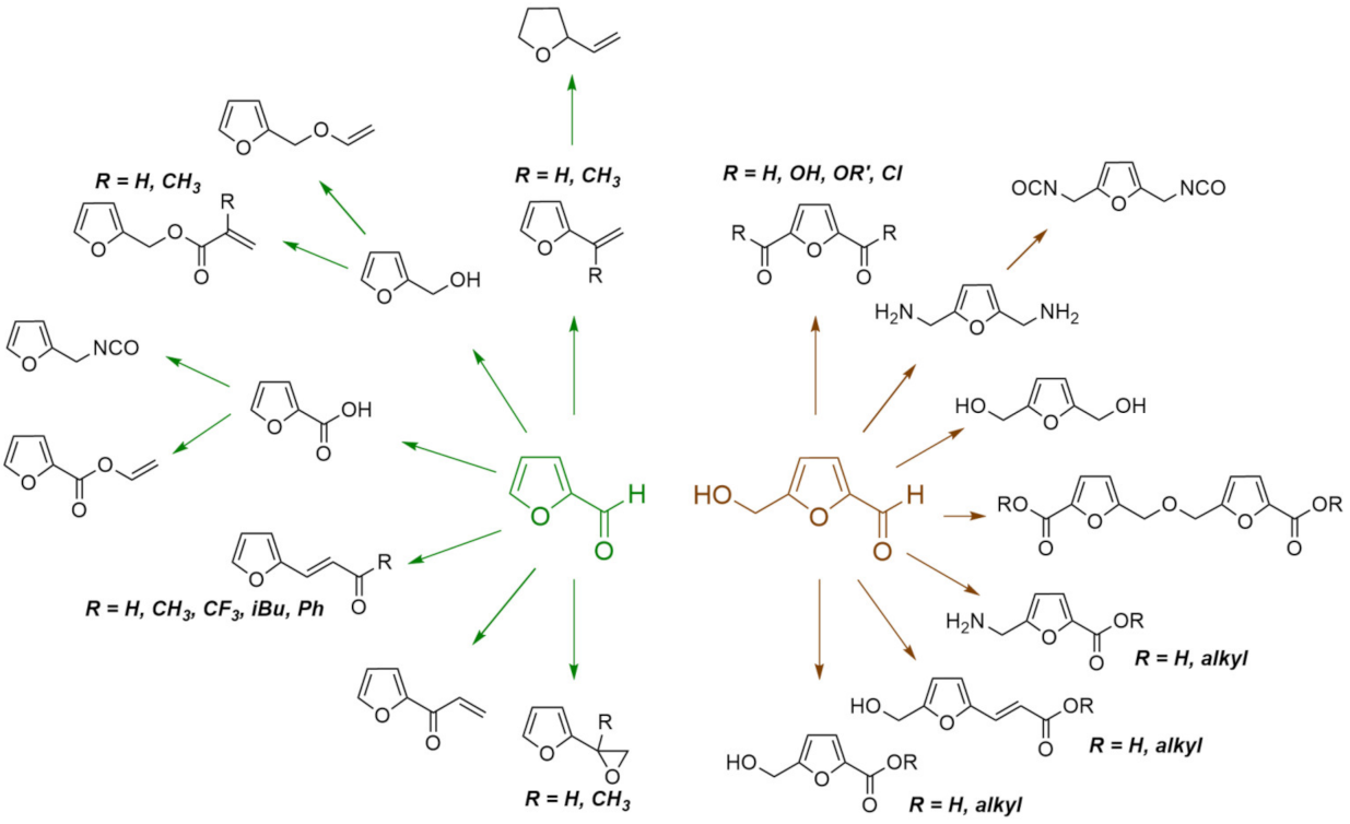 Molecules 27 00159 g006