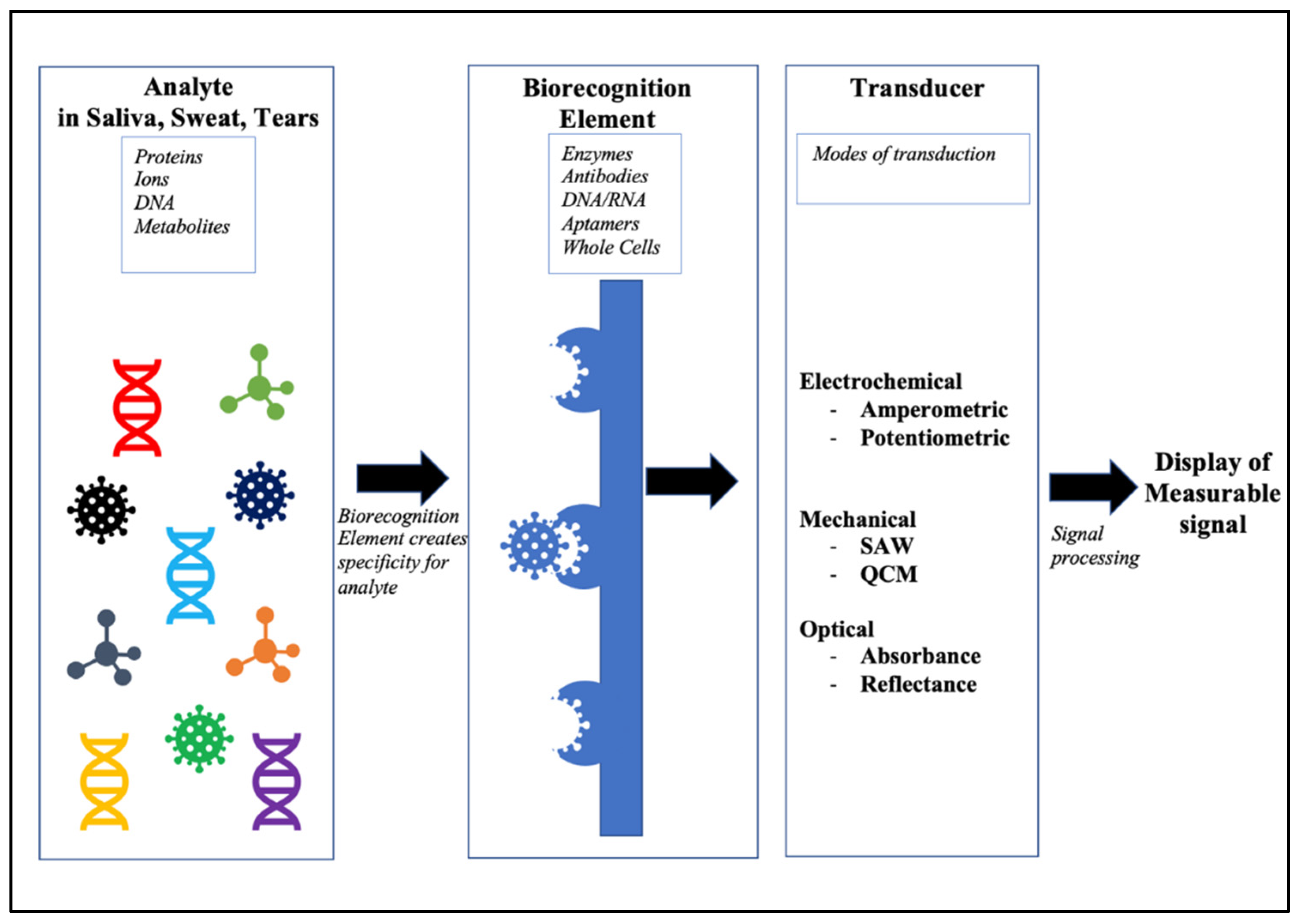 Molecules 27 00165 g001