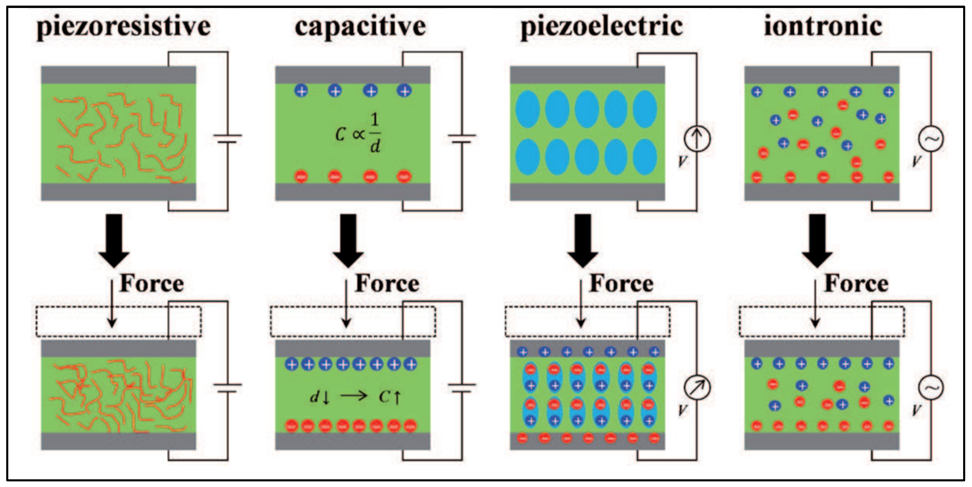 Molecules 27 00165 g004