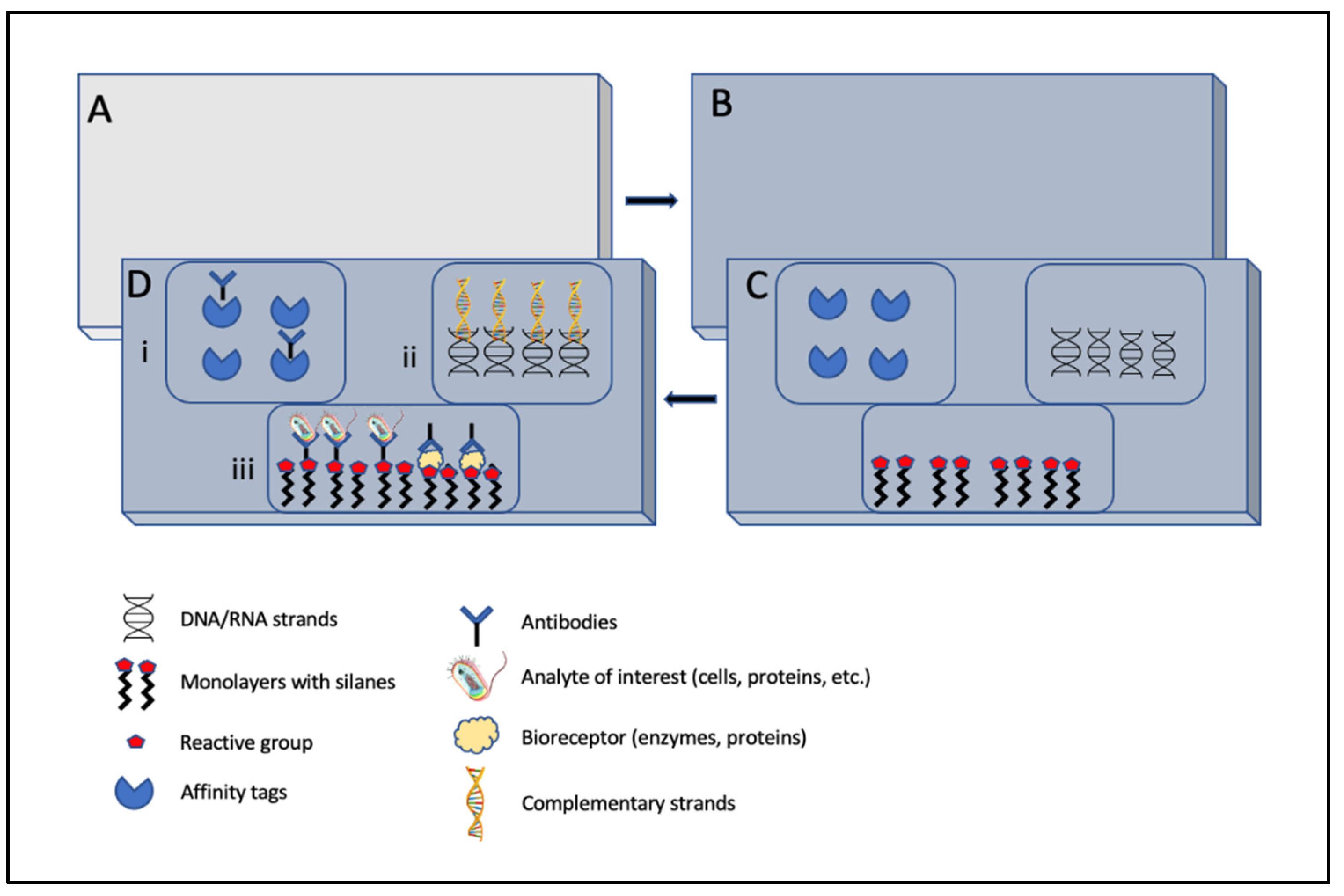 Molecules 27 00165 g006