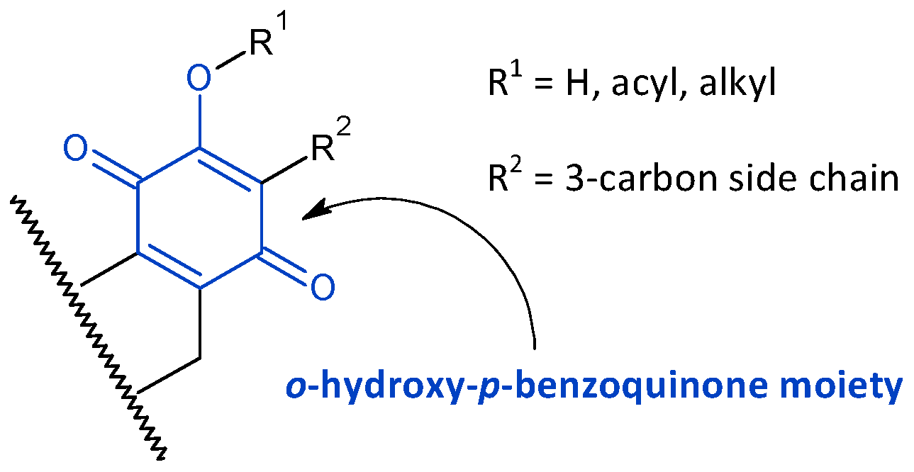 Molecules 27 00166 g002