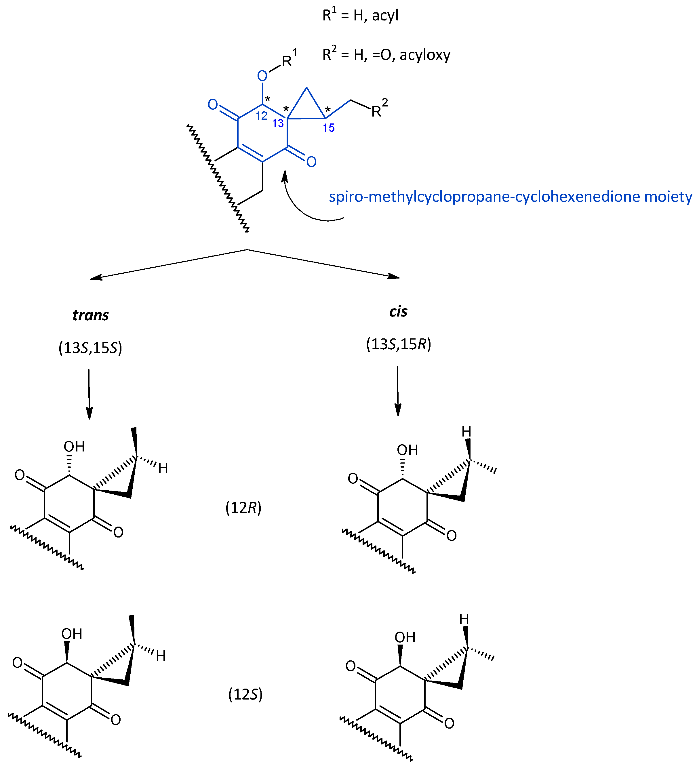 Molecules 27 00166 g003