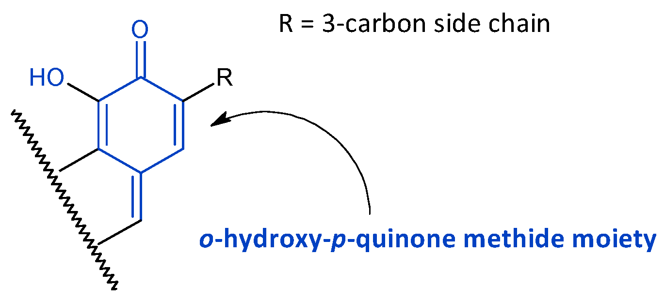 Molecules 27 00166 g004