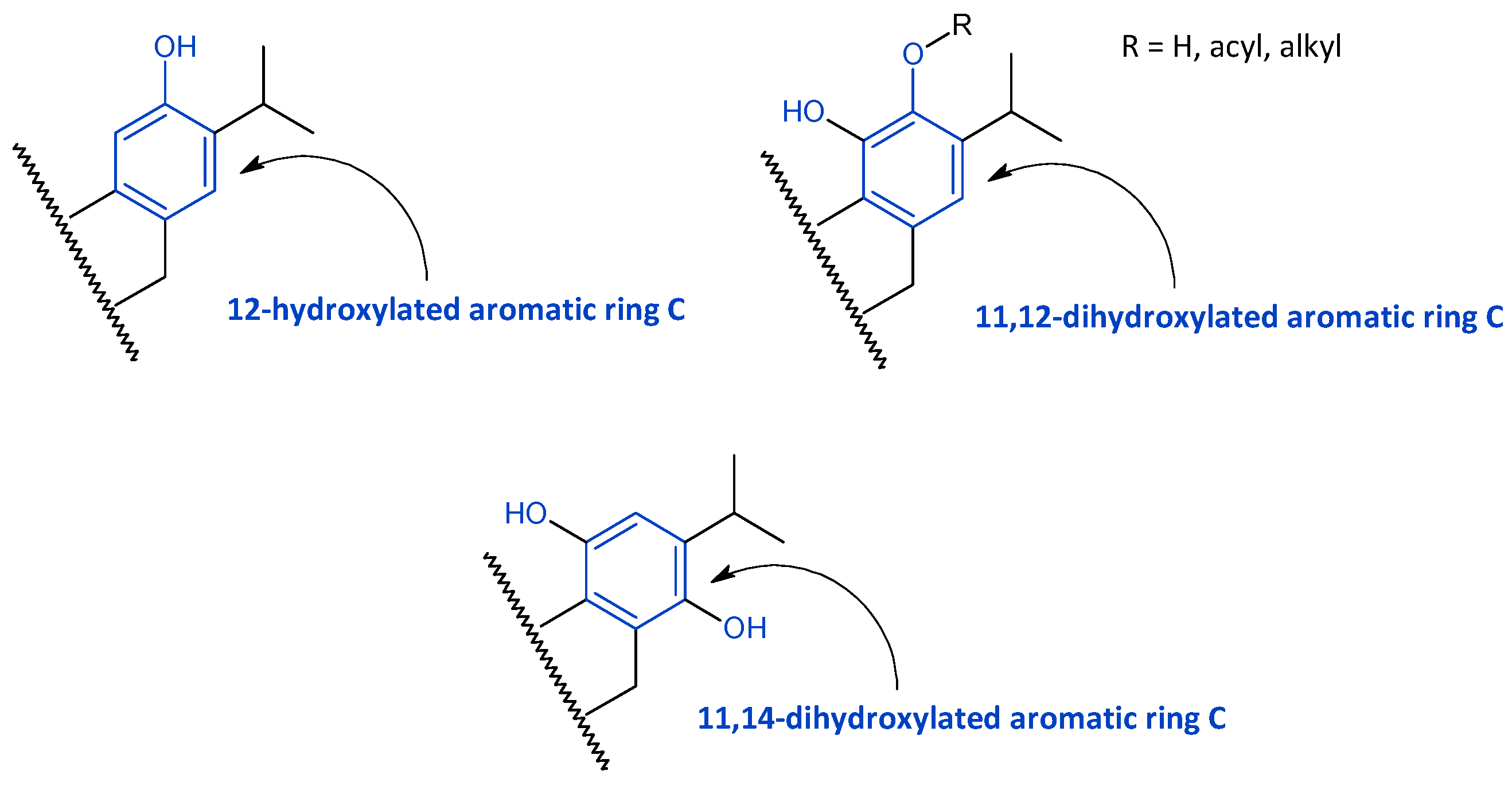 Molecules 27 00166 g008