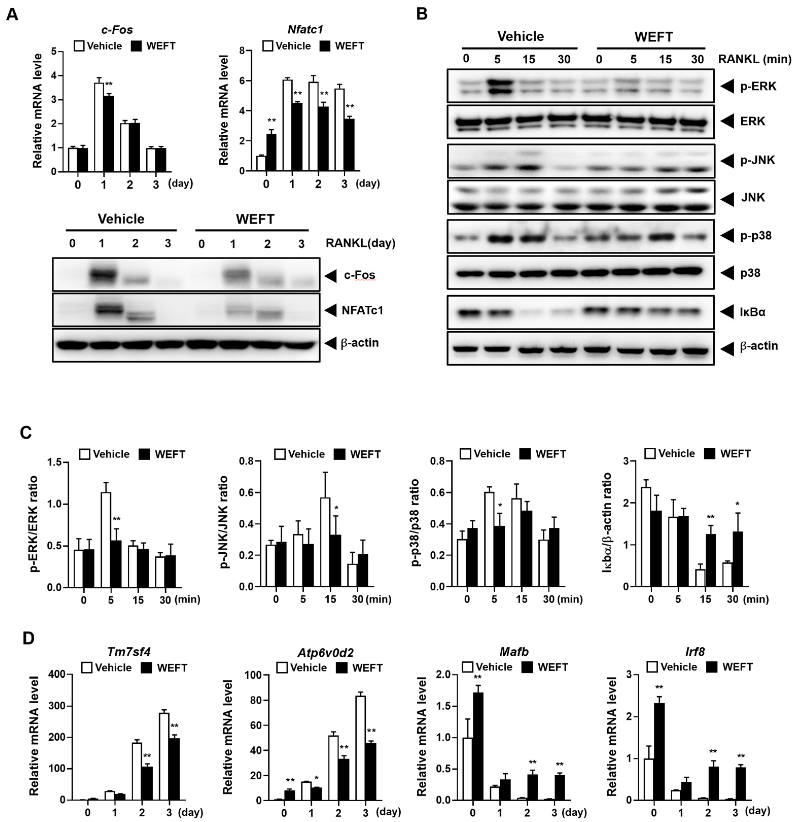 Molecules 27 00169 g003