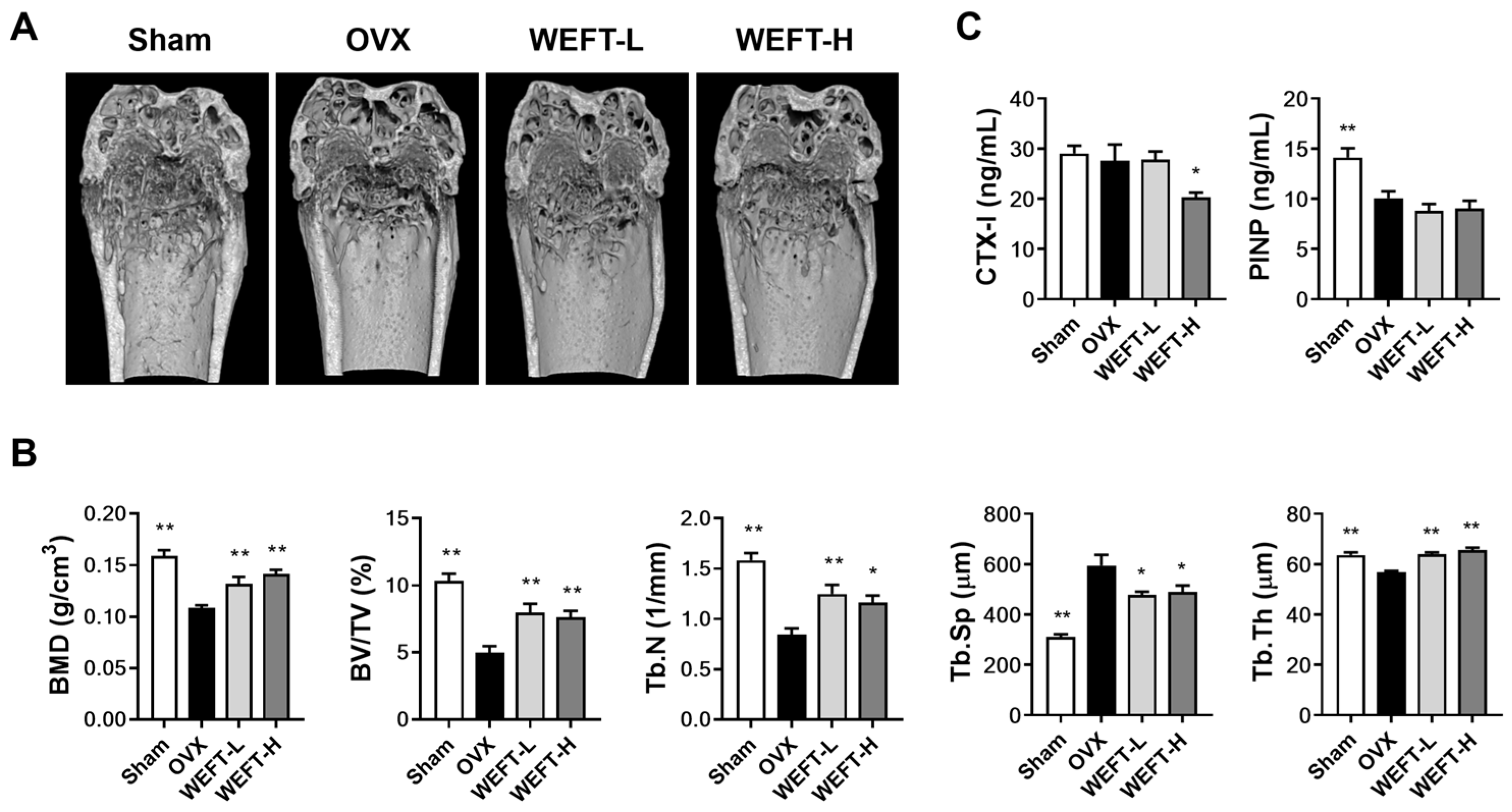 Molecules 27 00169 g004