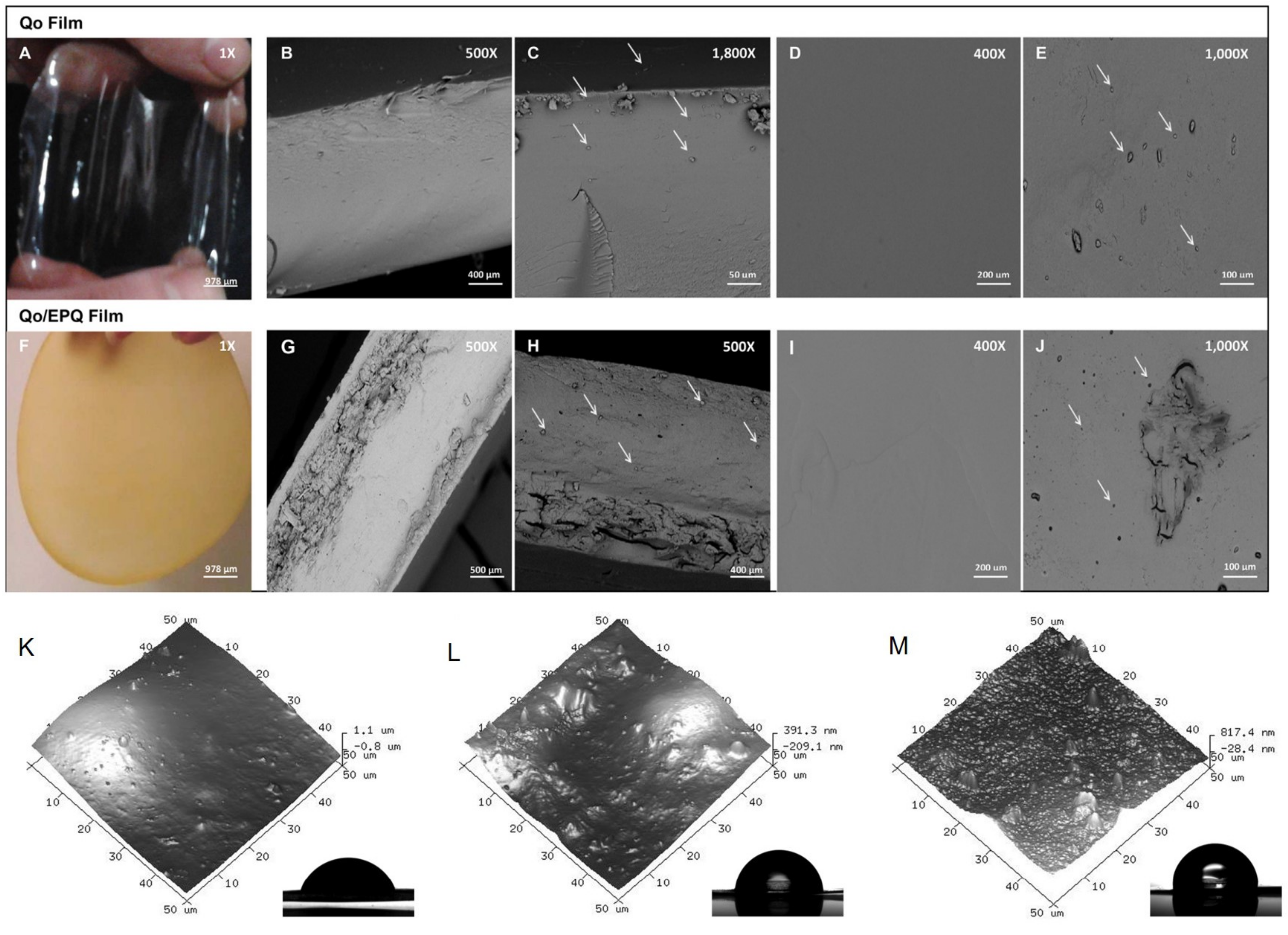 Molecules 27 00173 g002
