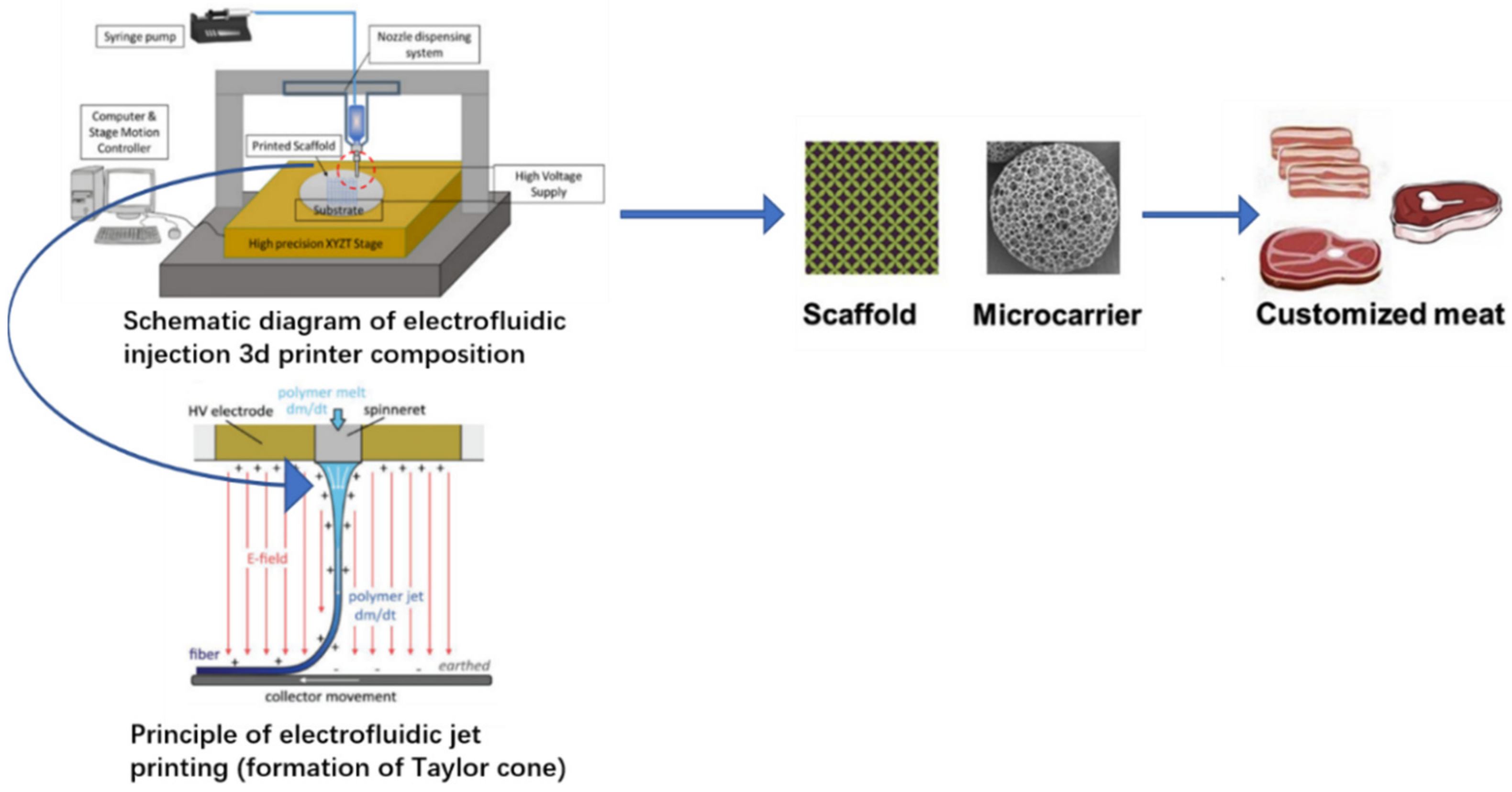 Molecules 27 00173 g003