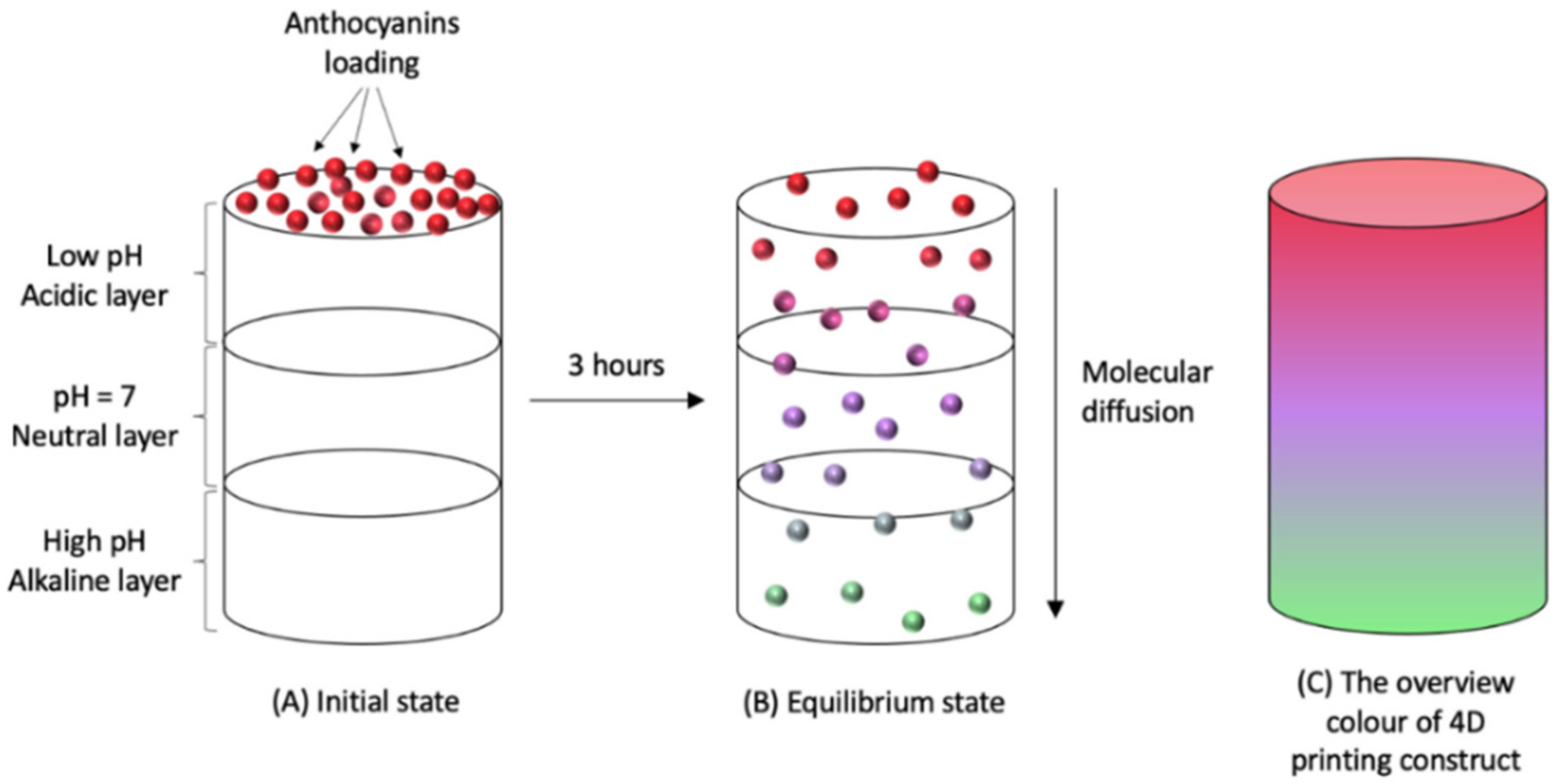Molecules 27 00173 g004