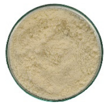 Molecules 27 00175 i004